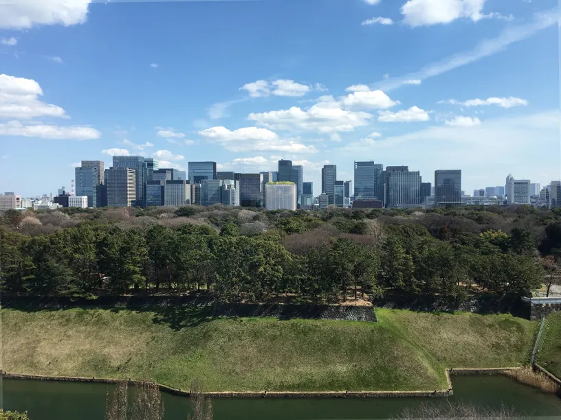 a city skyline with a park in the foreground and a river in the background .