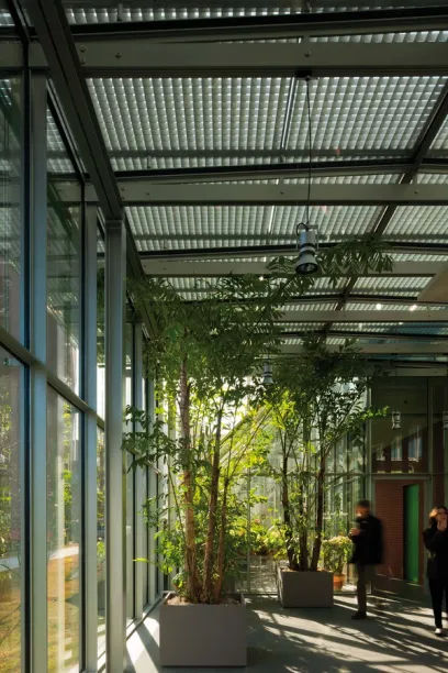 A greenhouse filled with lots of plants and people