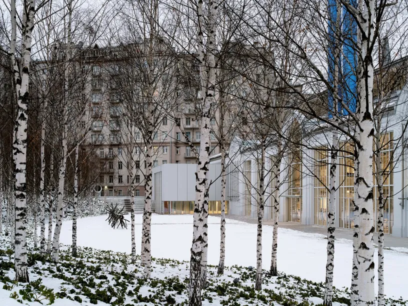 A row of birch trees in the snow in front of a building