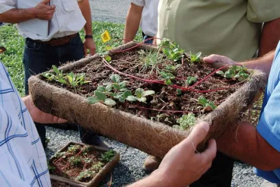 a group of people are holding a tray of plants in their hands .