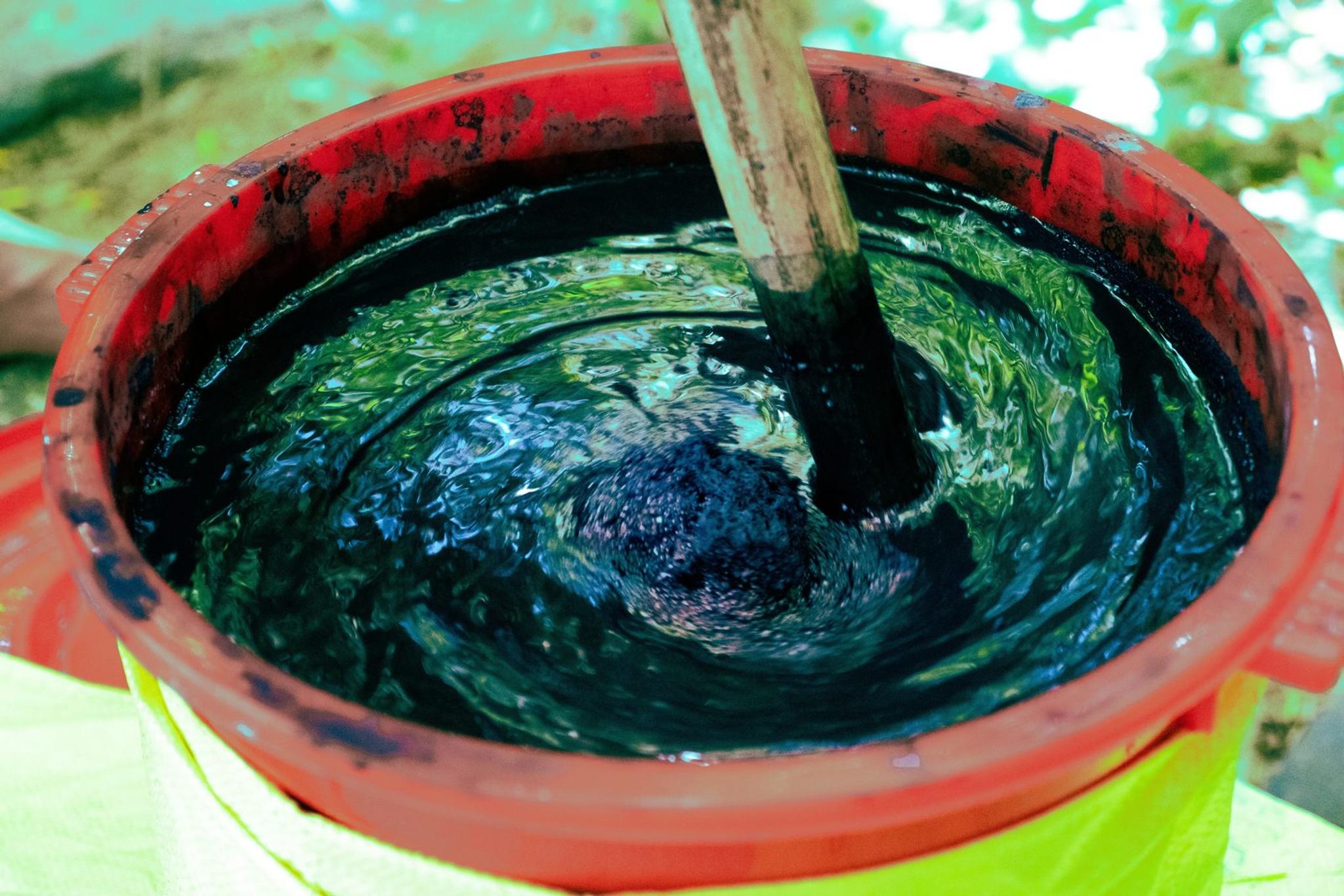 A stick stirring a living indigo vat