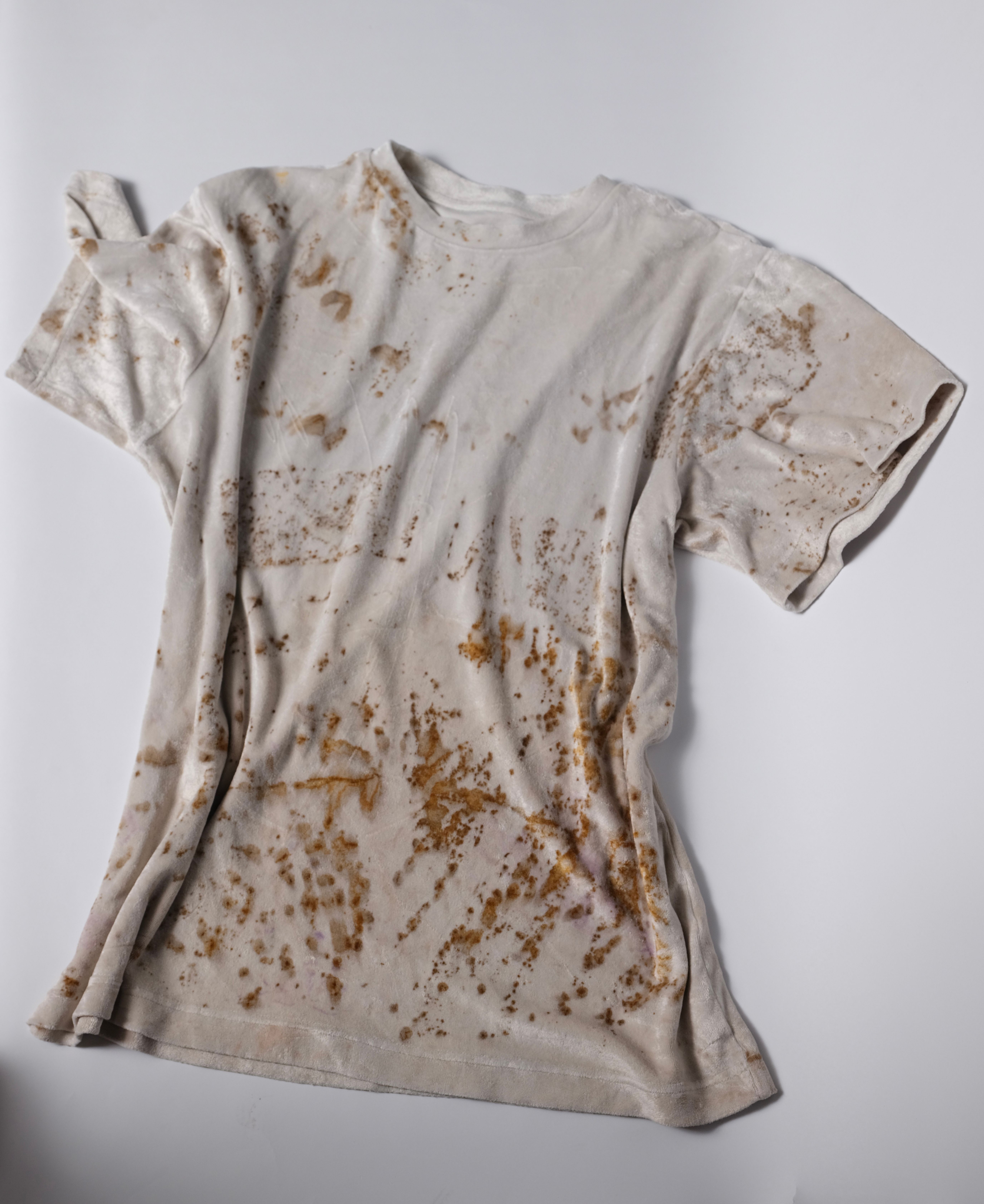 velour t-shirt with rust print - state of the island