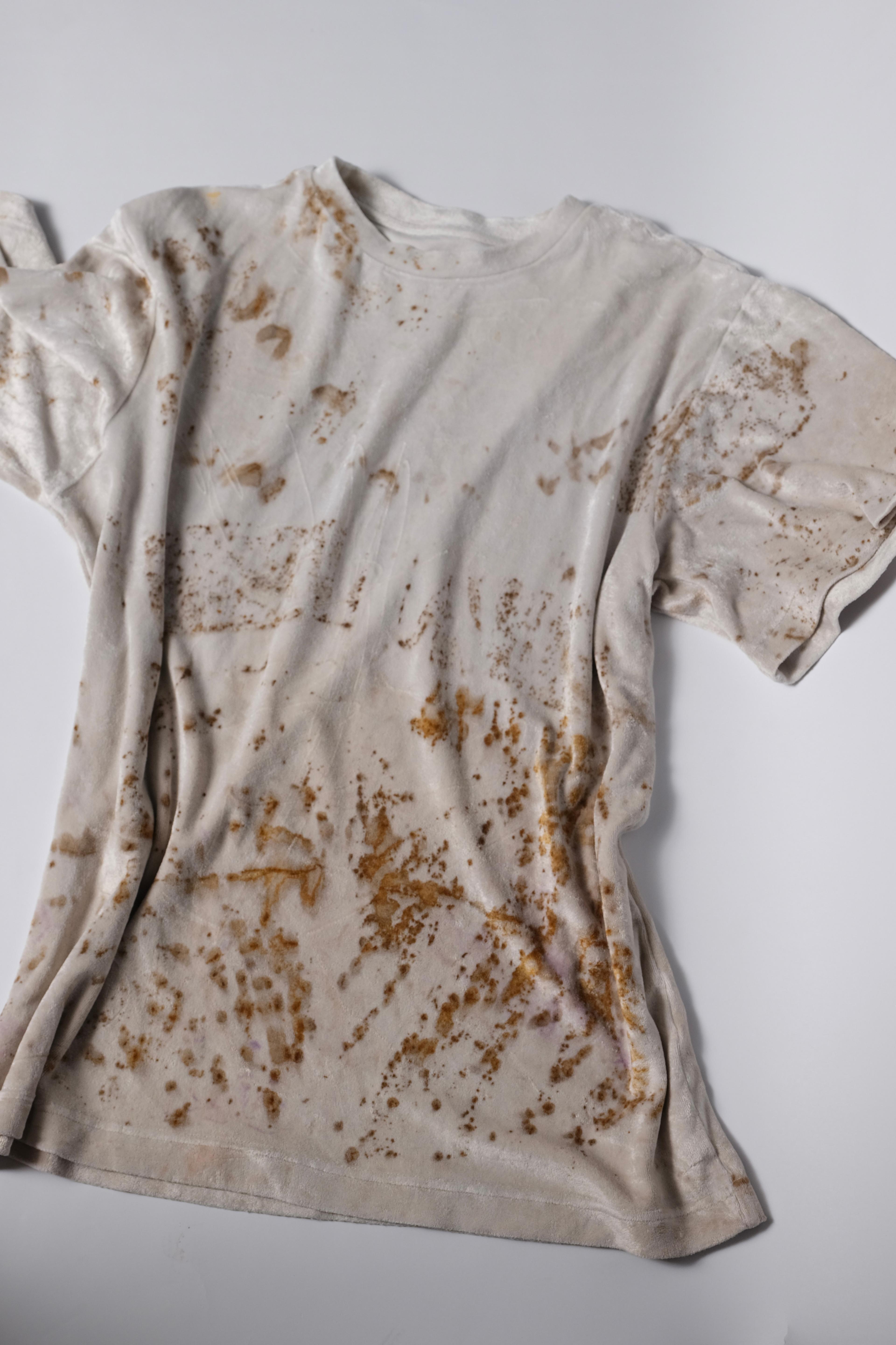 velour t-shirt with rust print - state of the island