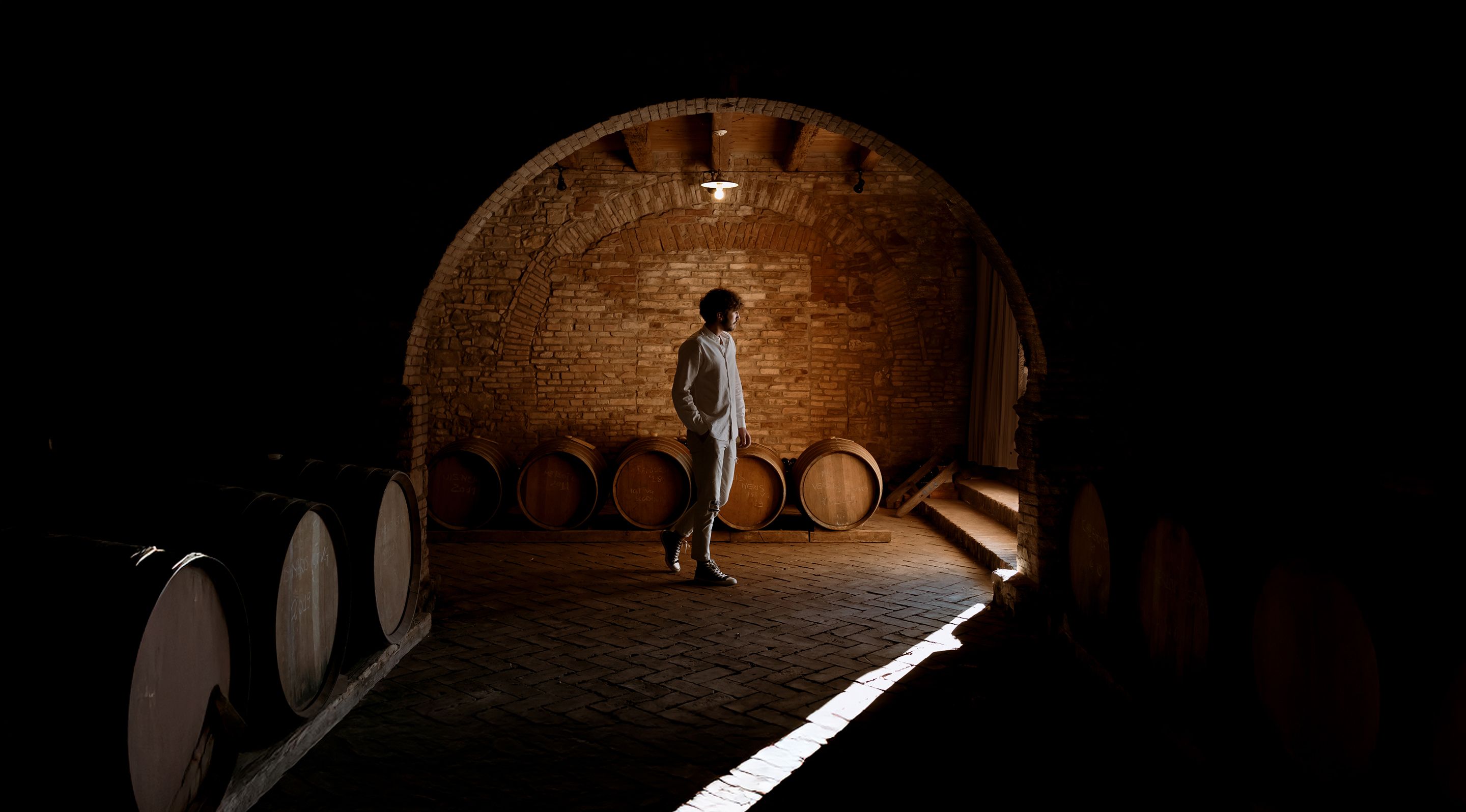 man in a vineyard