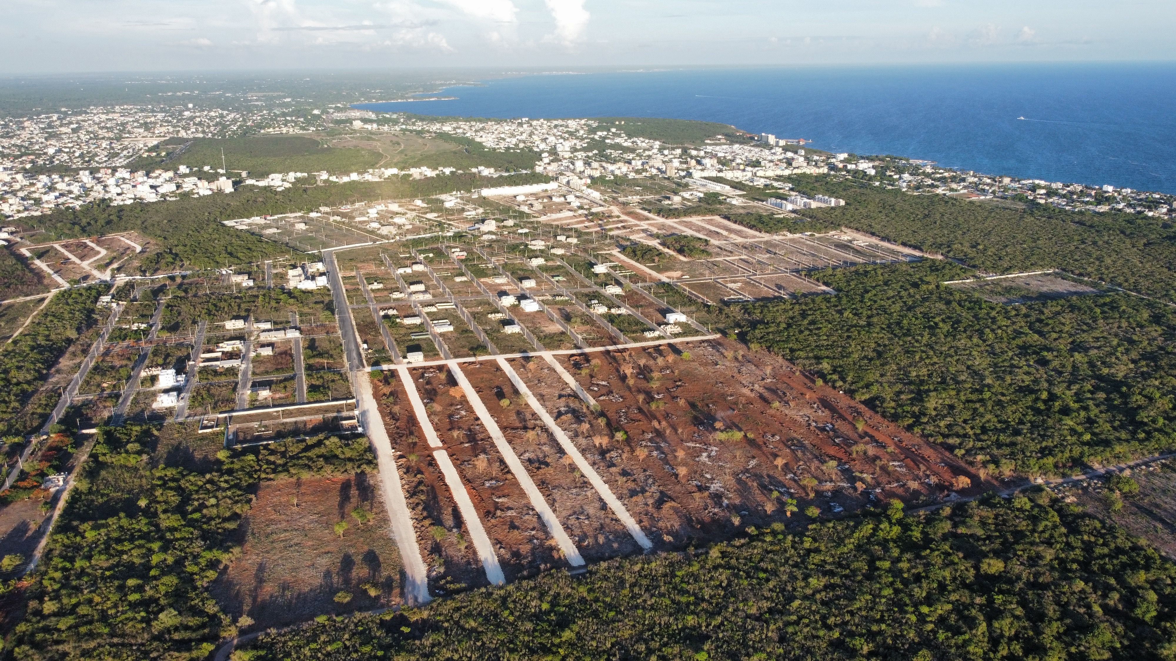 Jardines de Caleta XI — imagen principal