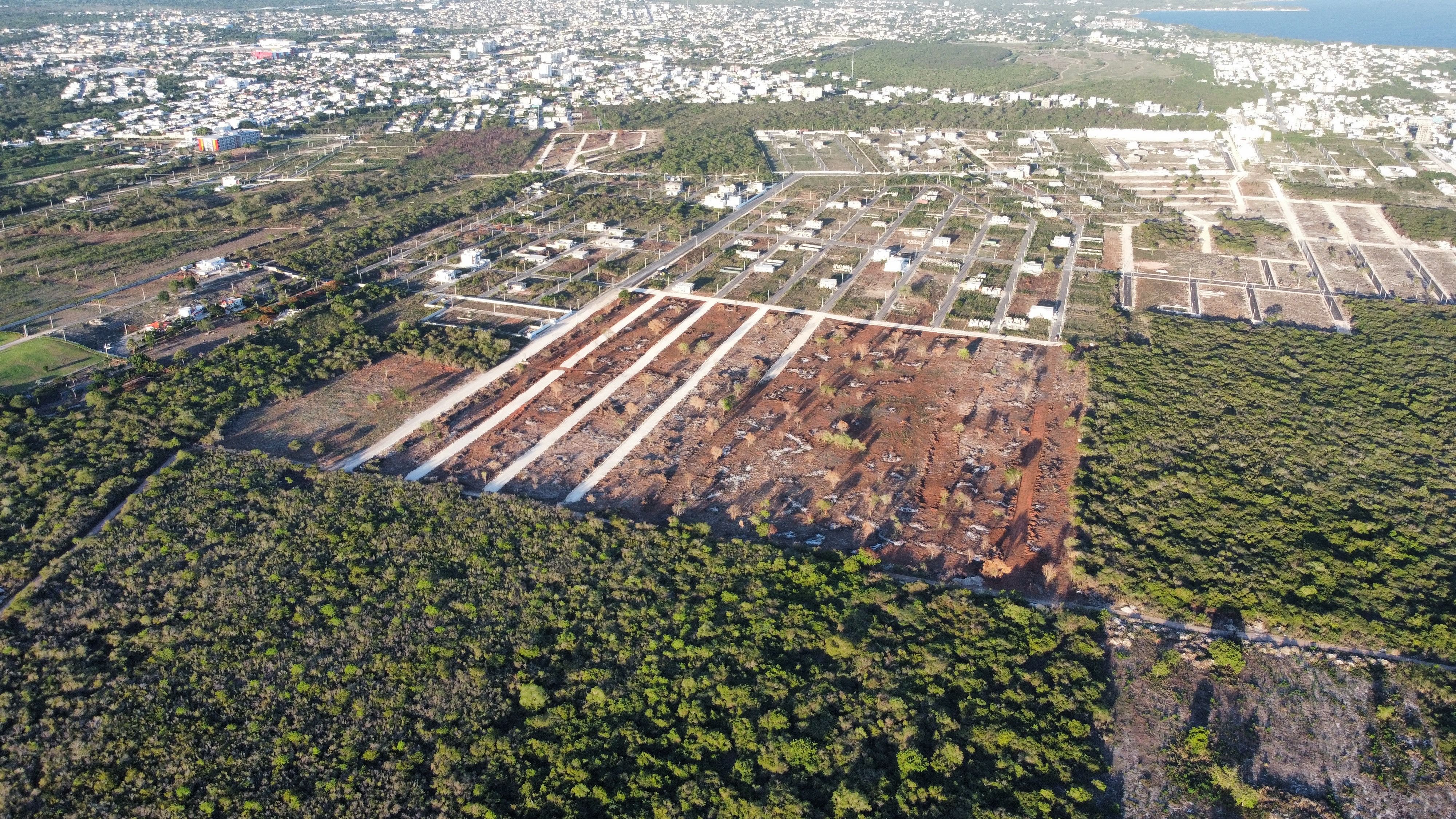 Jardines de Caleta XI — imagen 2