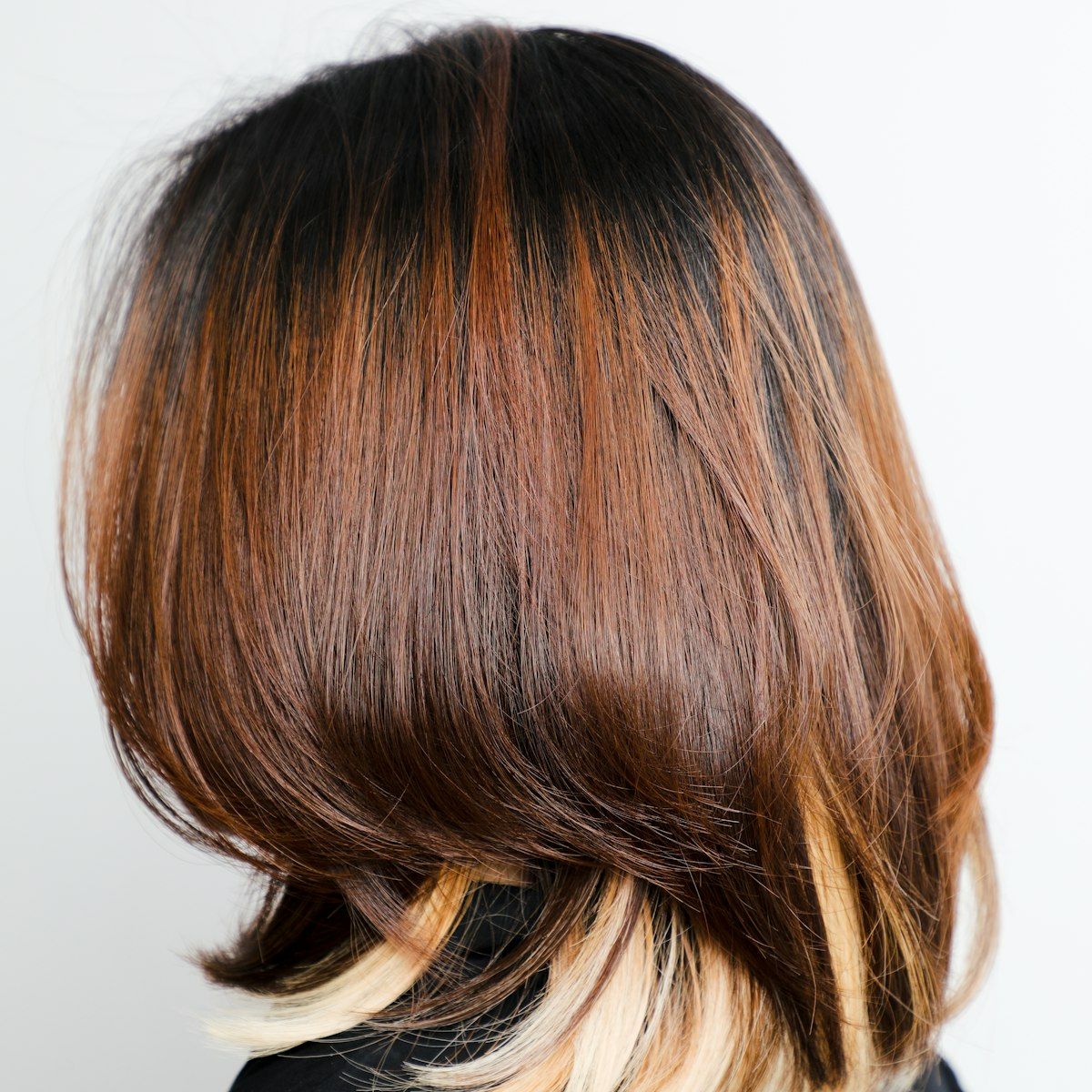 Brown Bob