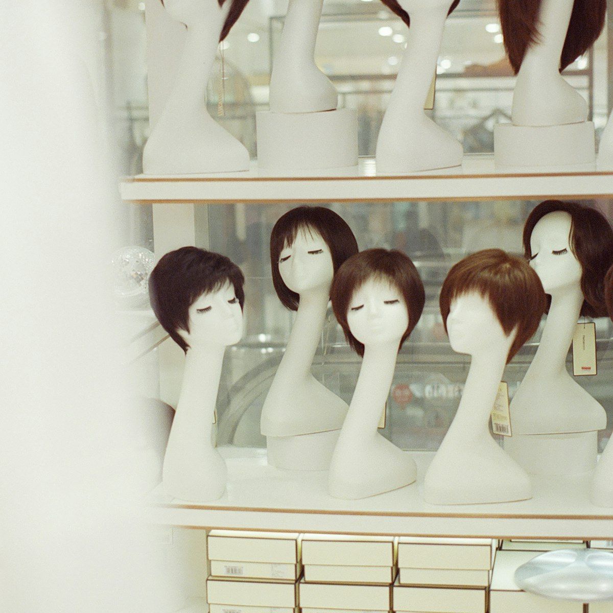 Brown Bob