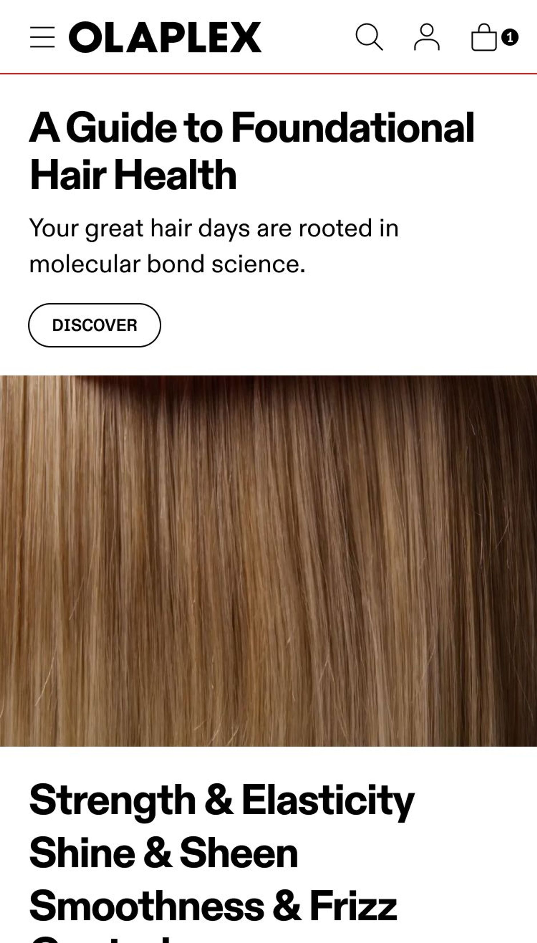 Screenshot of Olaplex Mobile Site Guide to Hair Health Section