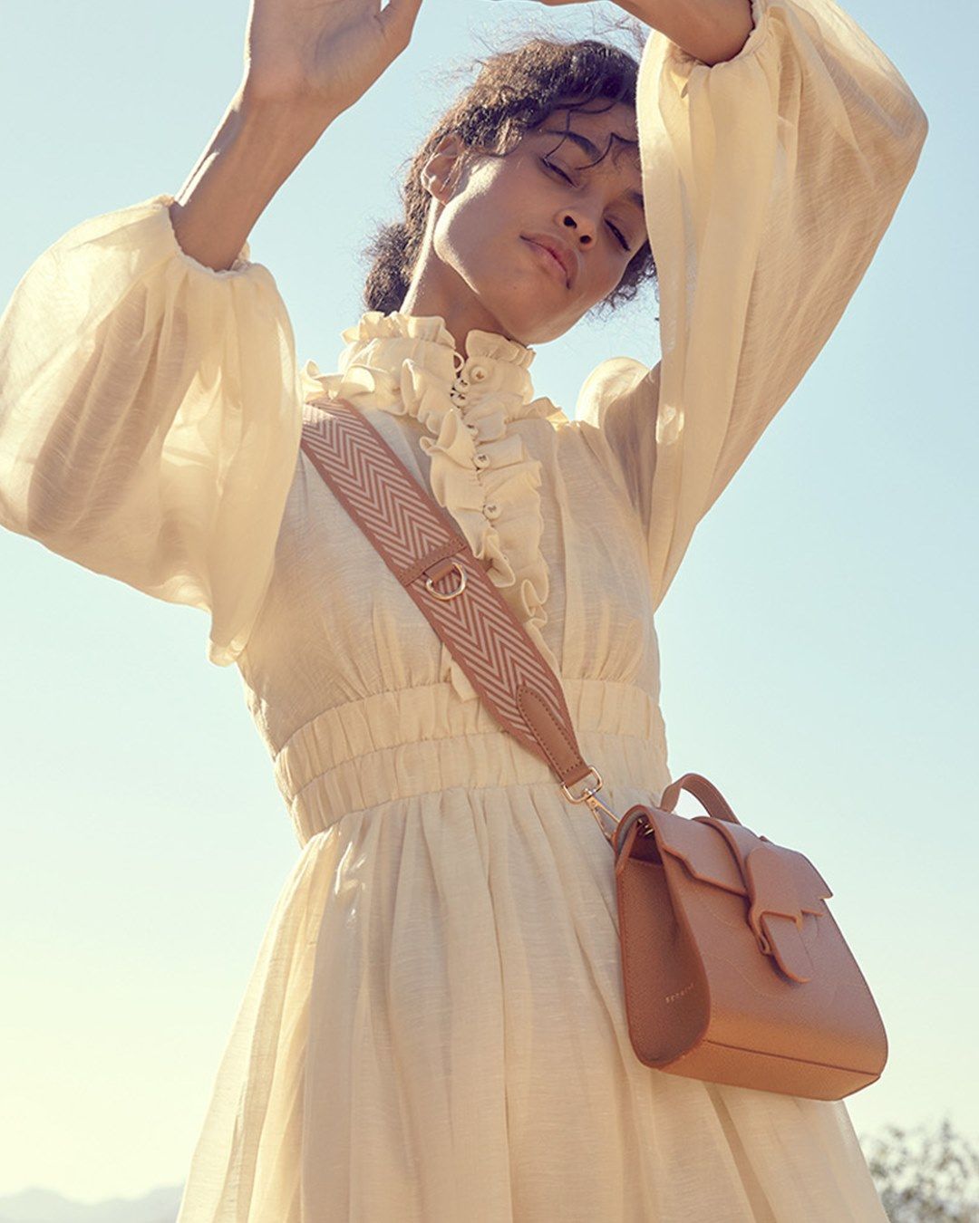 Brown Bag on model
