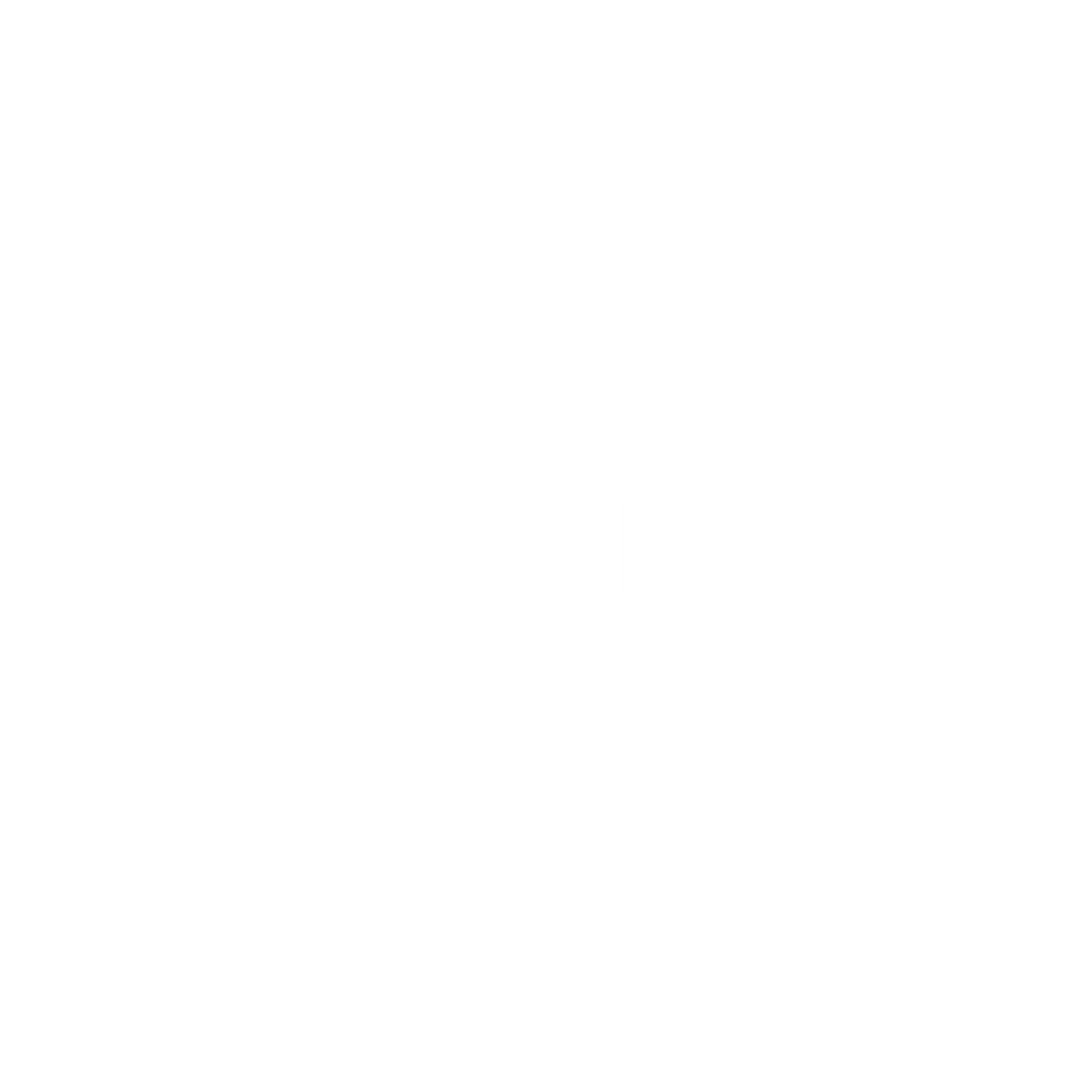 Shopify Platinum Partner badge