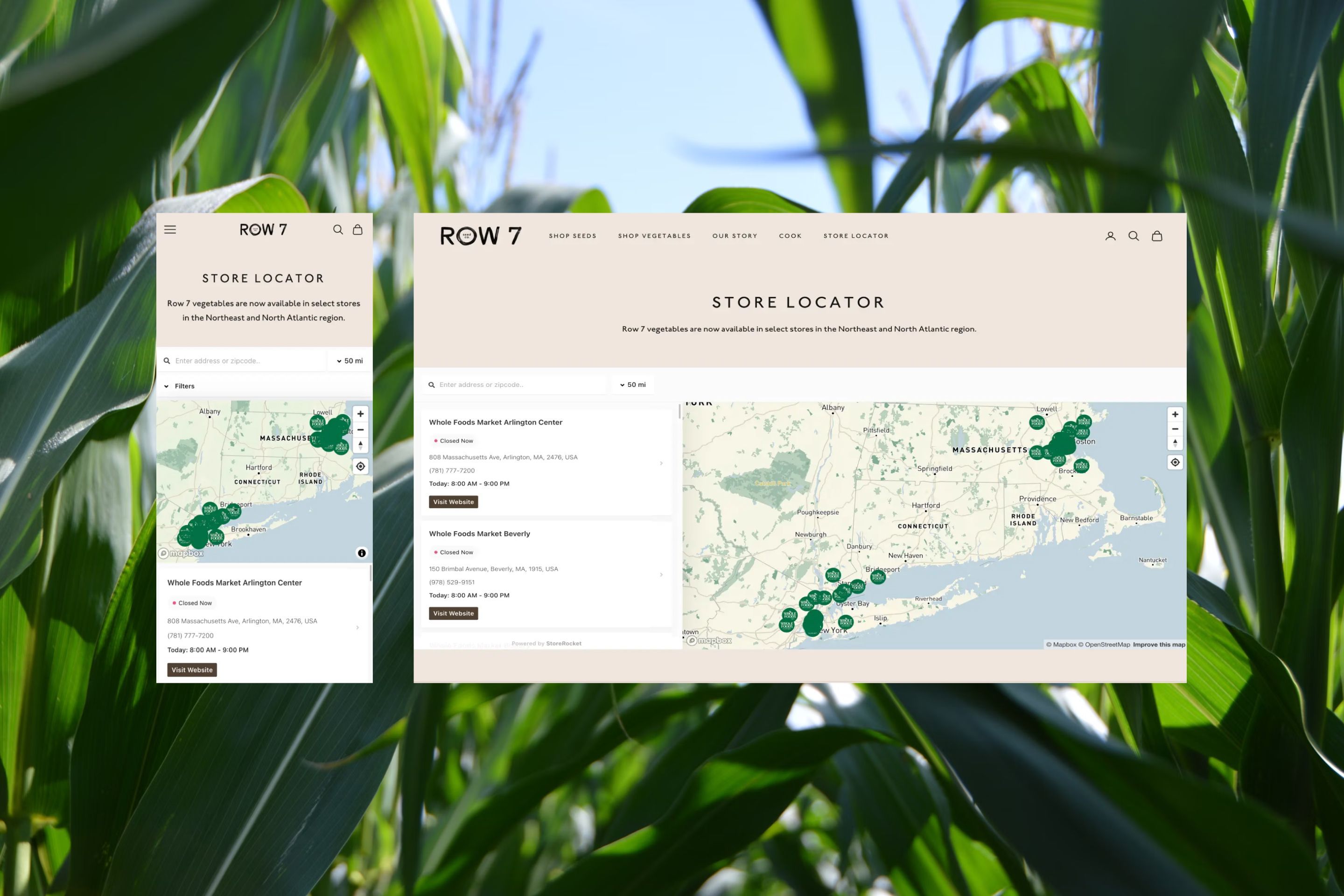 Store Locator Designs