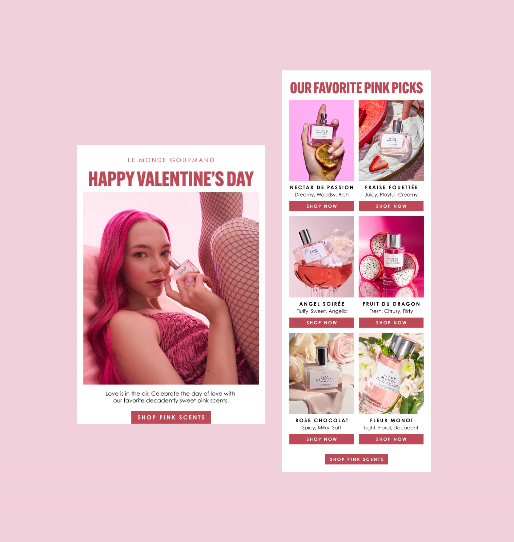 Valentine's Day email campaign for Le Monde Gourmand