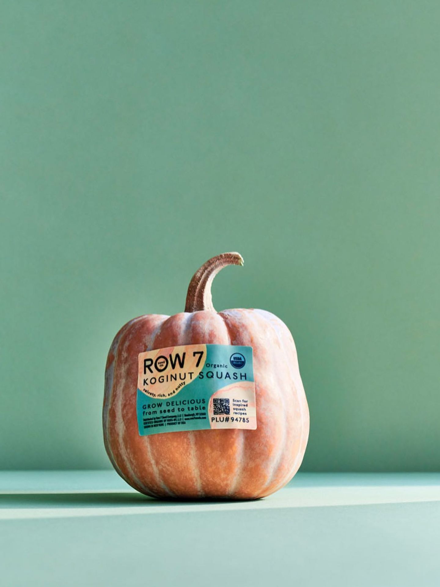 Squash on a green background