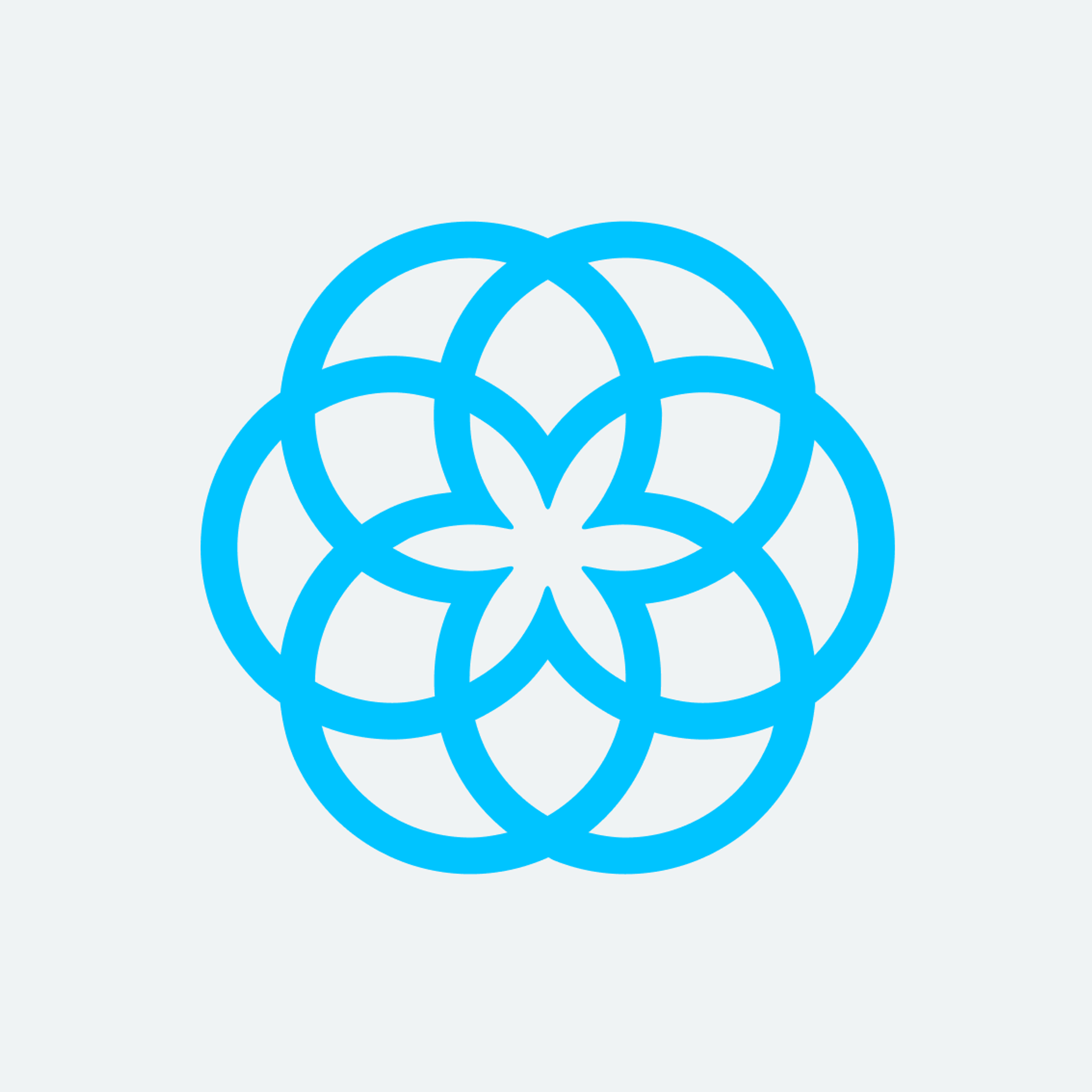 Salsify icon