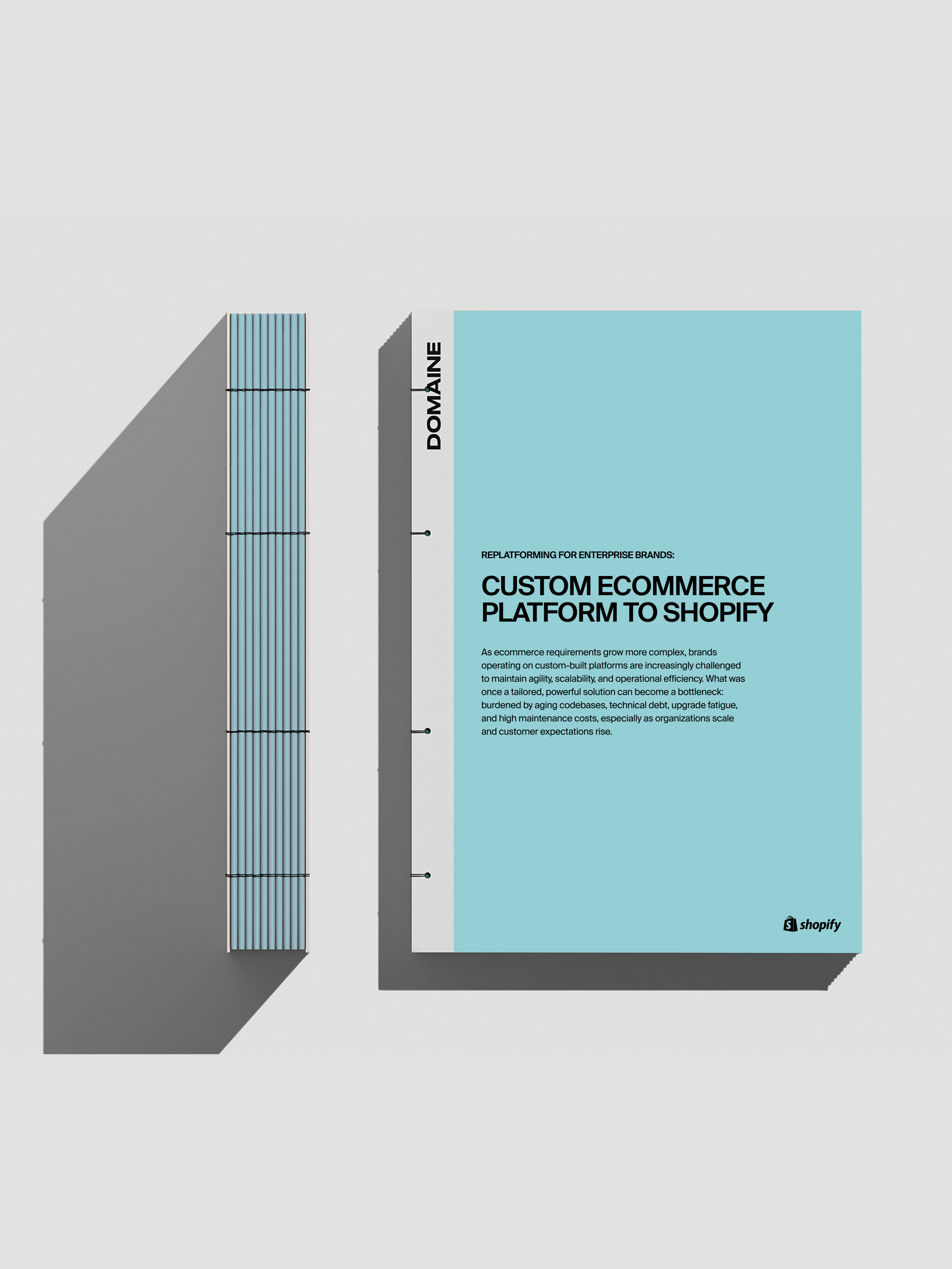 Mockup of custom Migration whitepaper on blue background