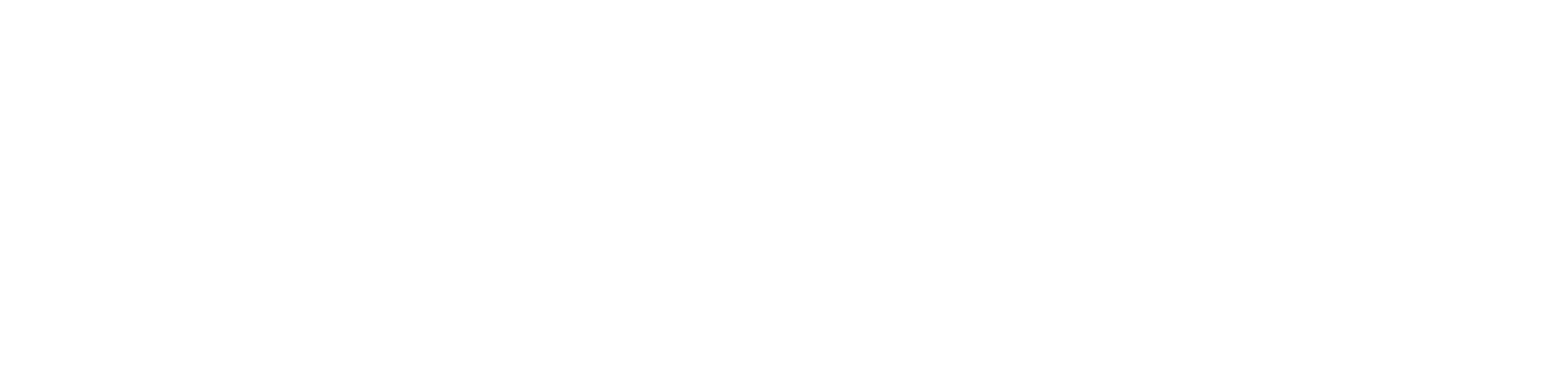 Cover Image for StepZen