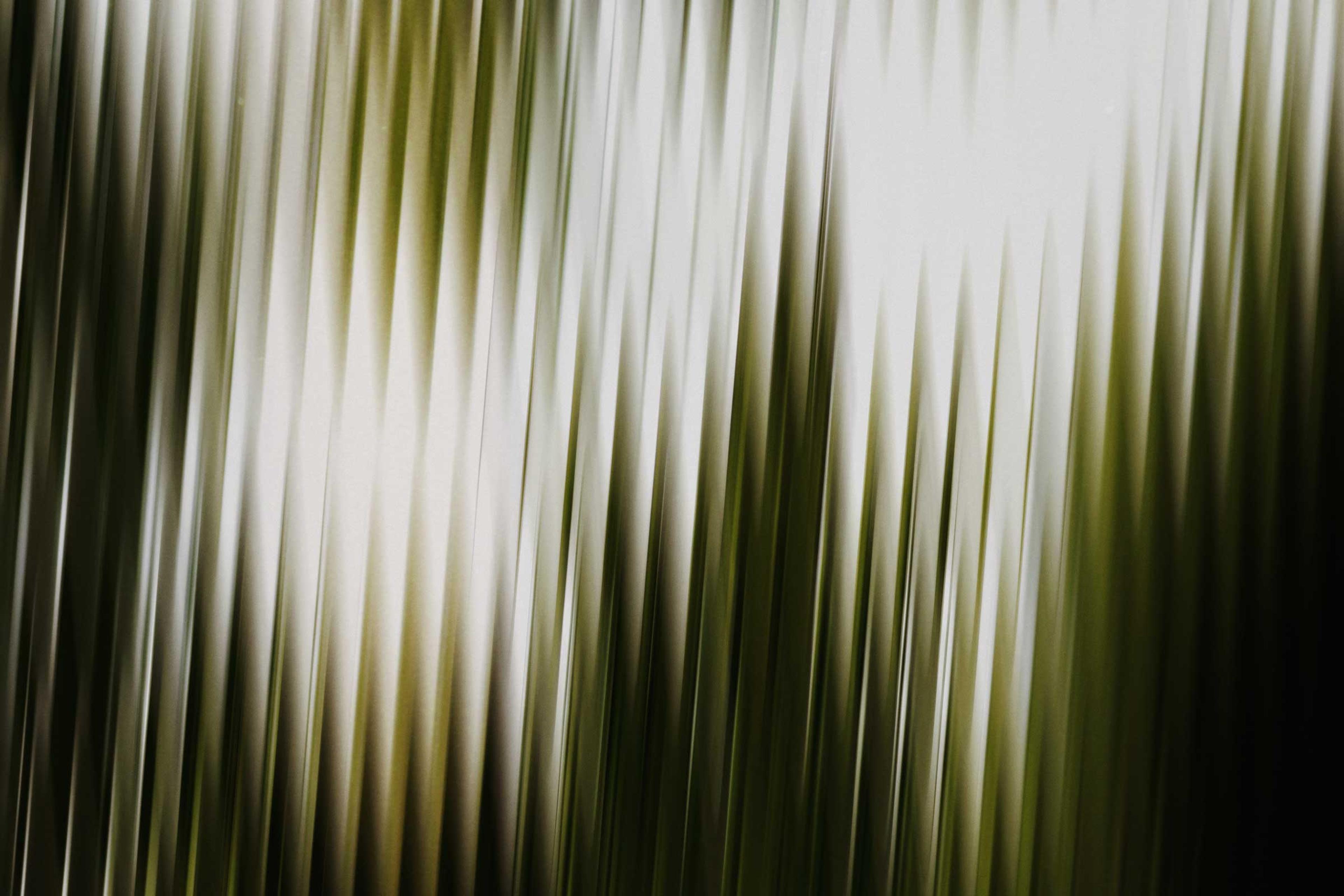 An abstract photo of green highlights. 