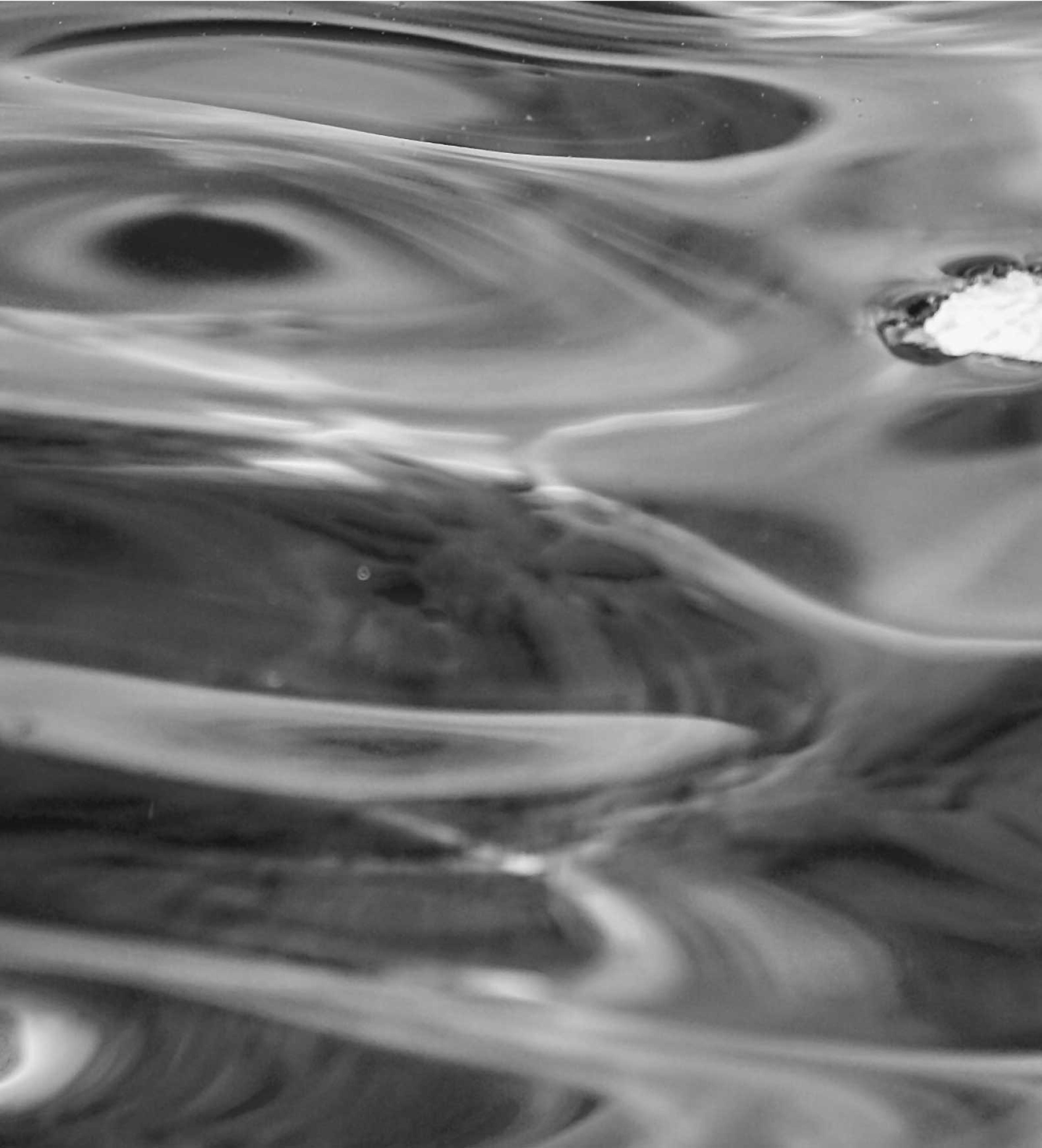 A reflective water surface texture that is representative of transformation and unity.