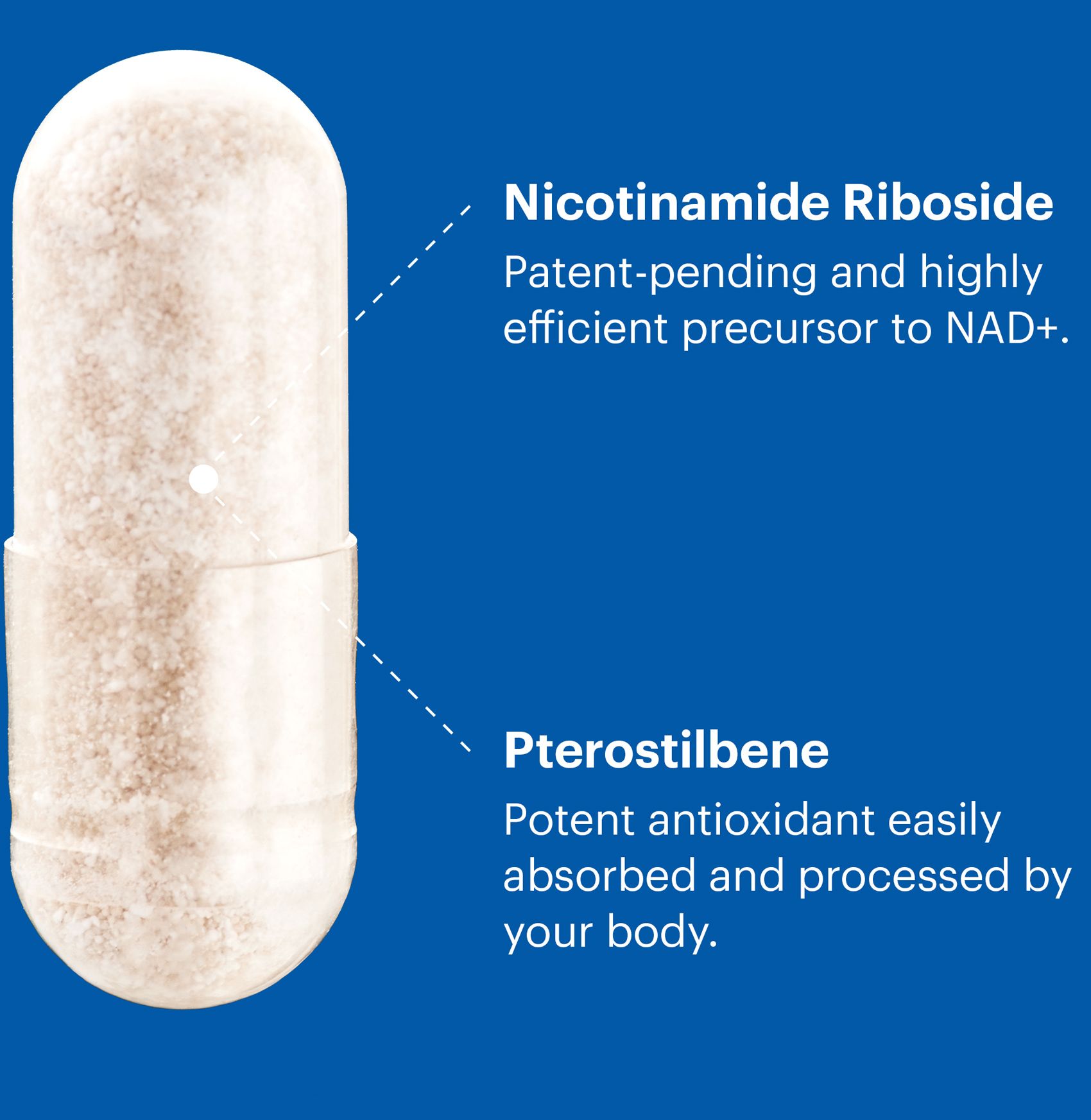 Basis_Pill_Blue_Text