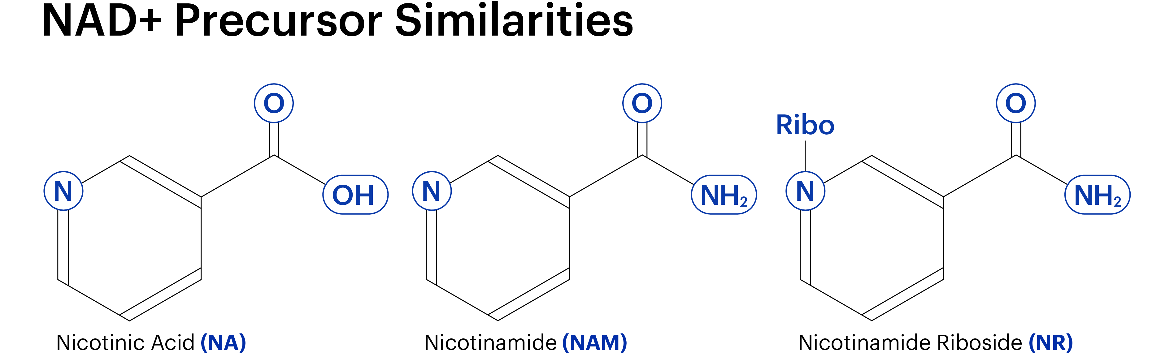 Mmn Celldiagrams