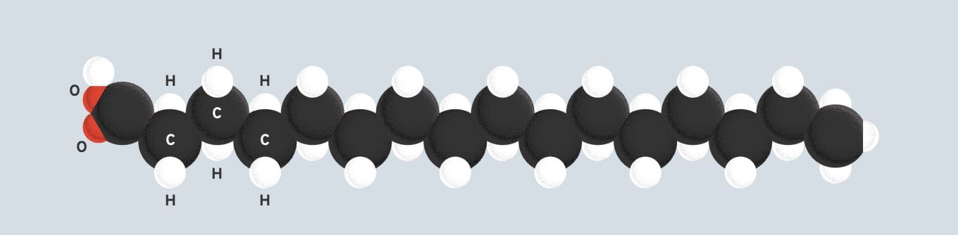 Saturated Fatty Acid