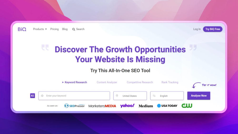 image of BiQ SEO Suite