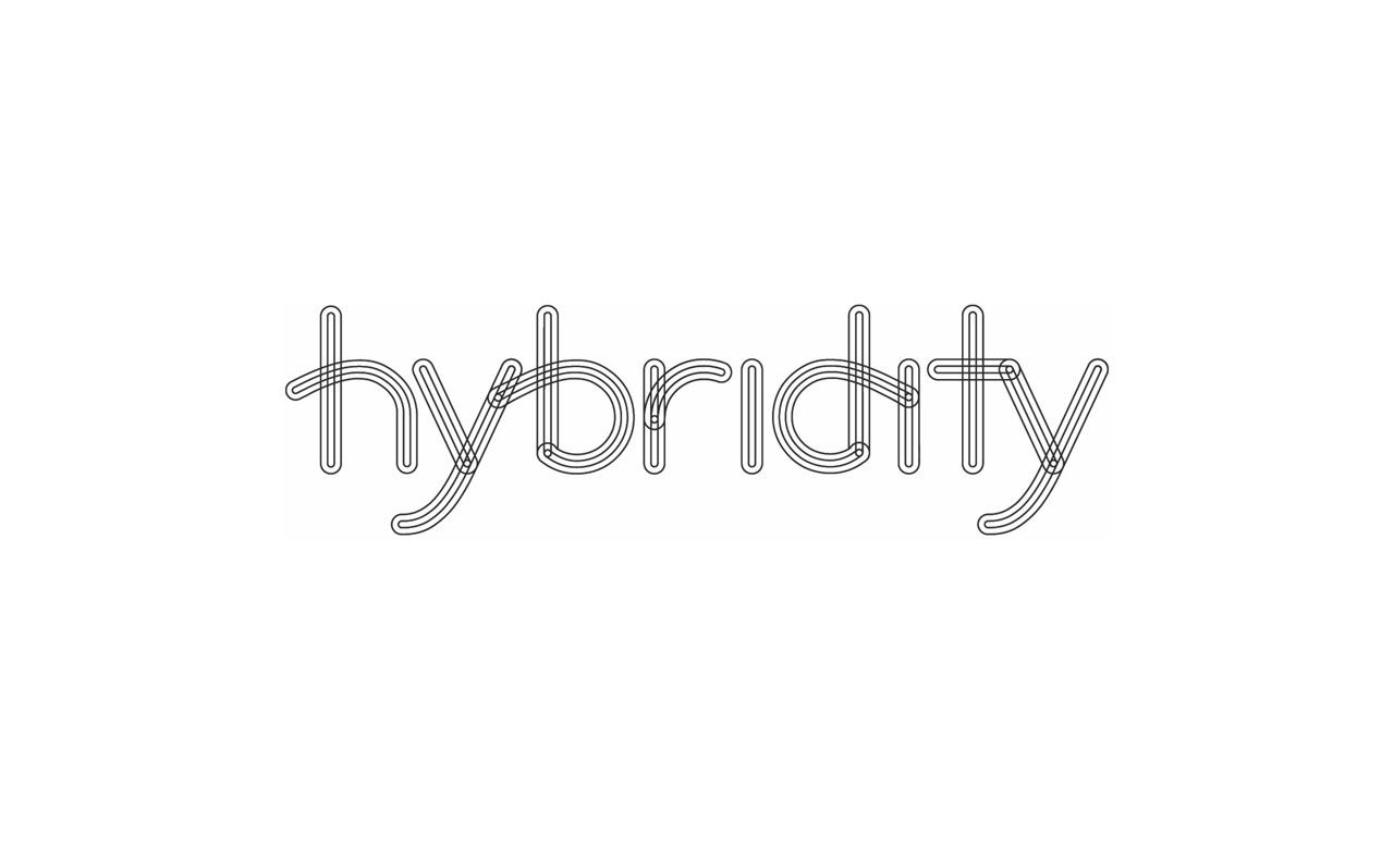 Hybridity Logo