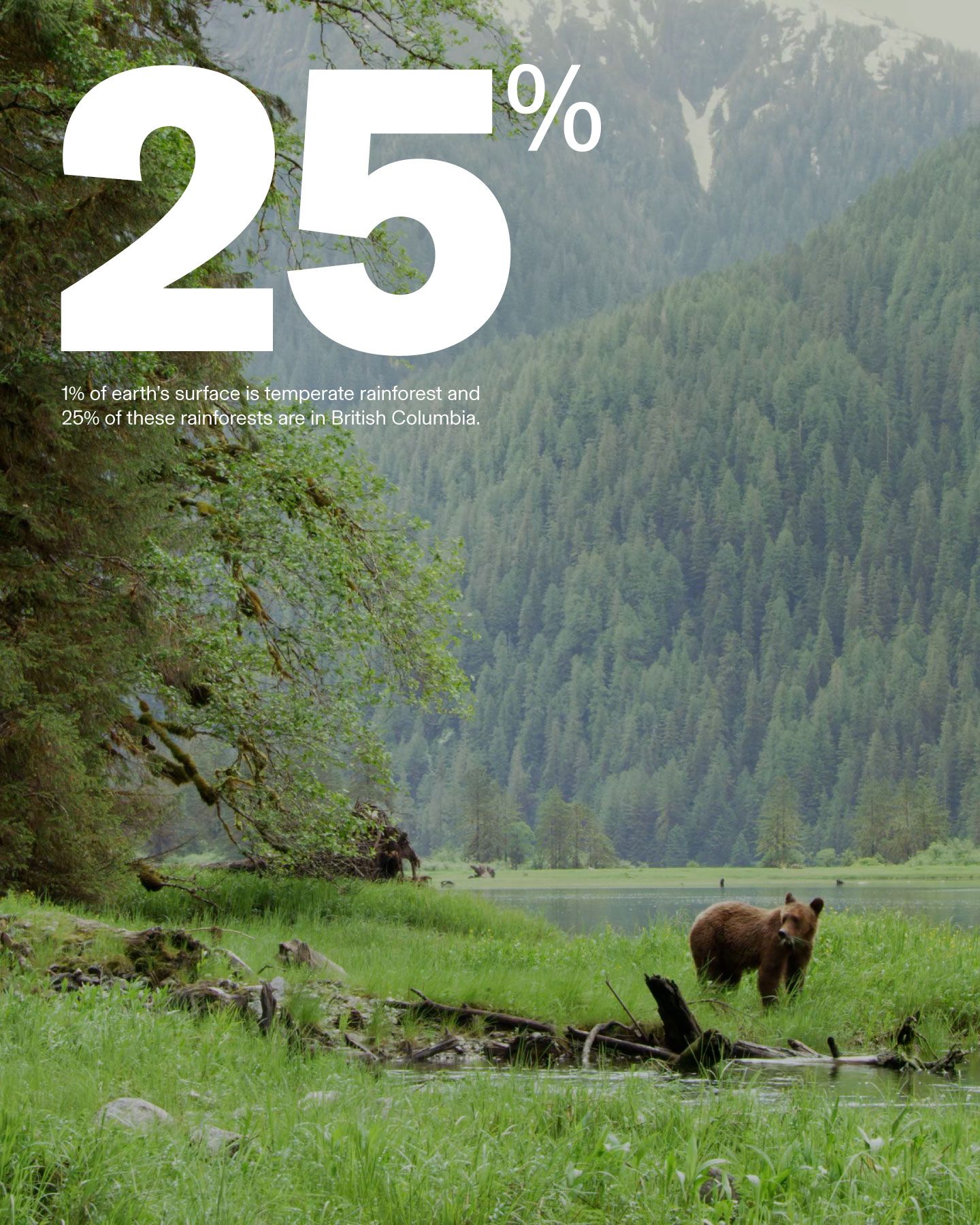 BC Parks Foundation branding.