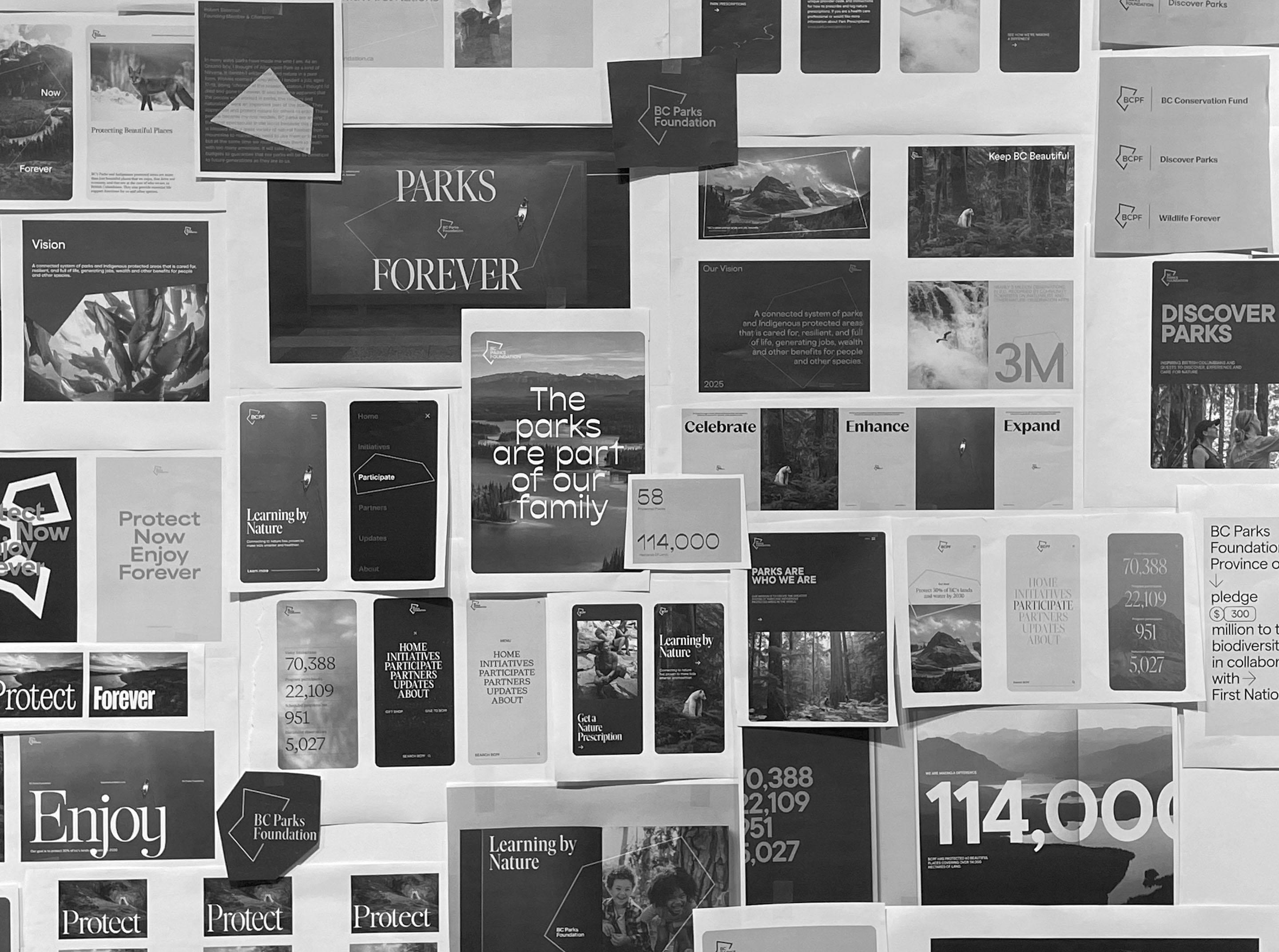 BC Parks Foundation - Brand Exploration