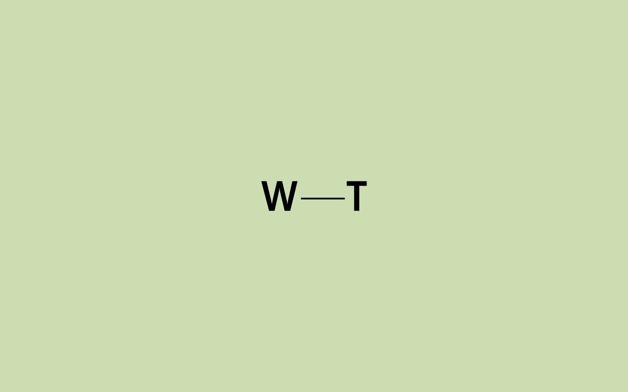 WT Logo