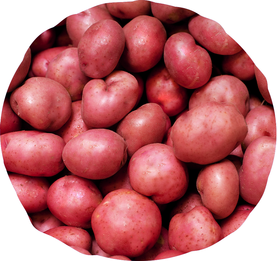  Red potatoes