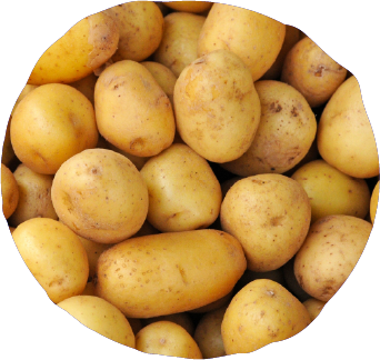 Gold potatoes
