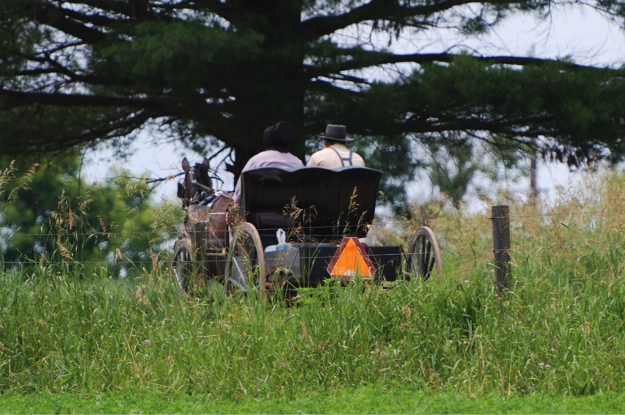 Amish Spring Traditions and How Reclaimed Barnwood Furniture Fits In