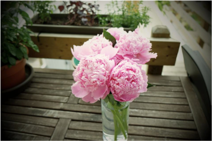 Pop Of Flowers