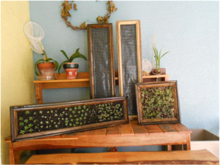 Barnwood Vertical Garden