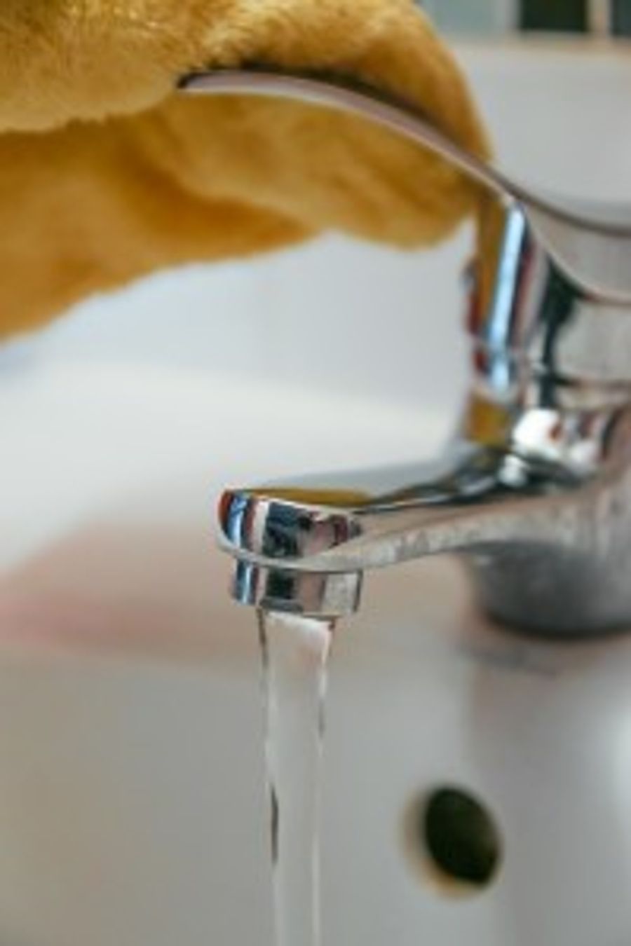 Cleaning your bathroom