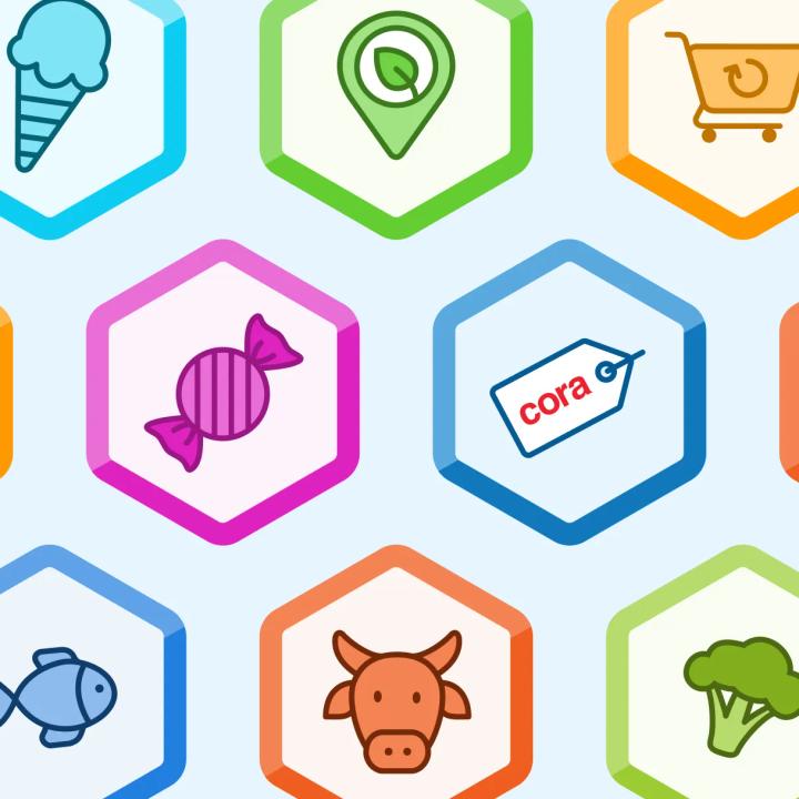 application mobile illustrations