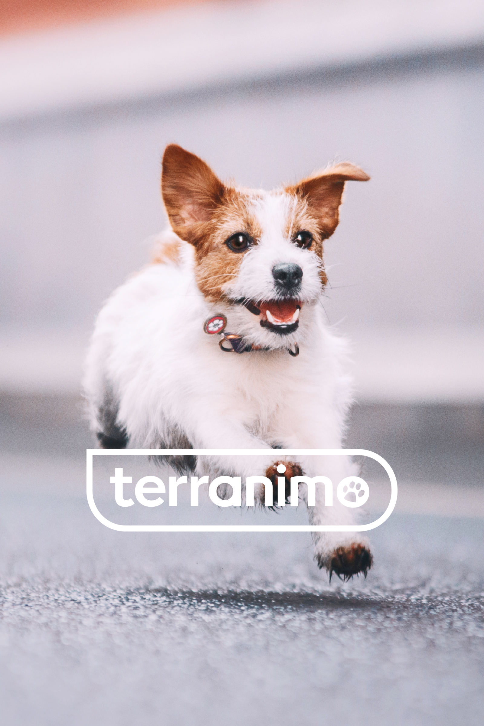 terranimo alimentation ebusiness