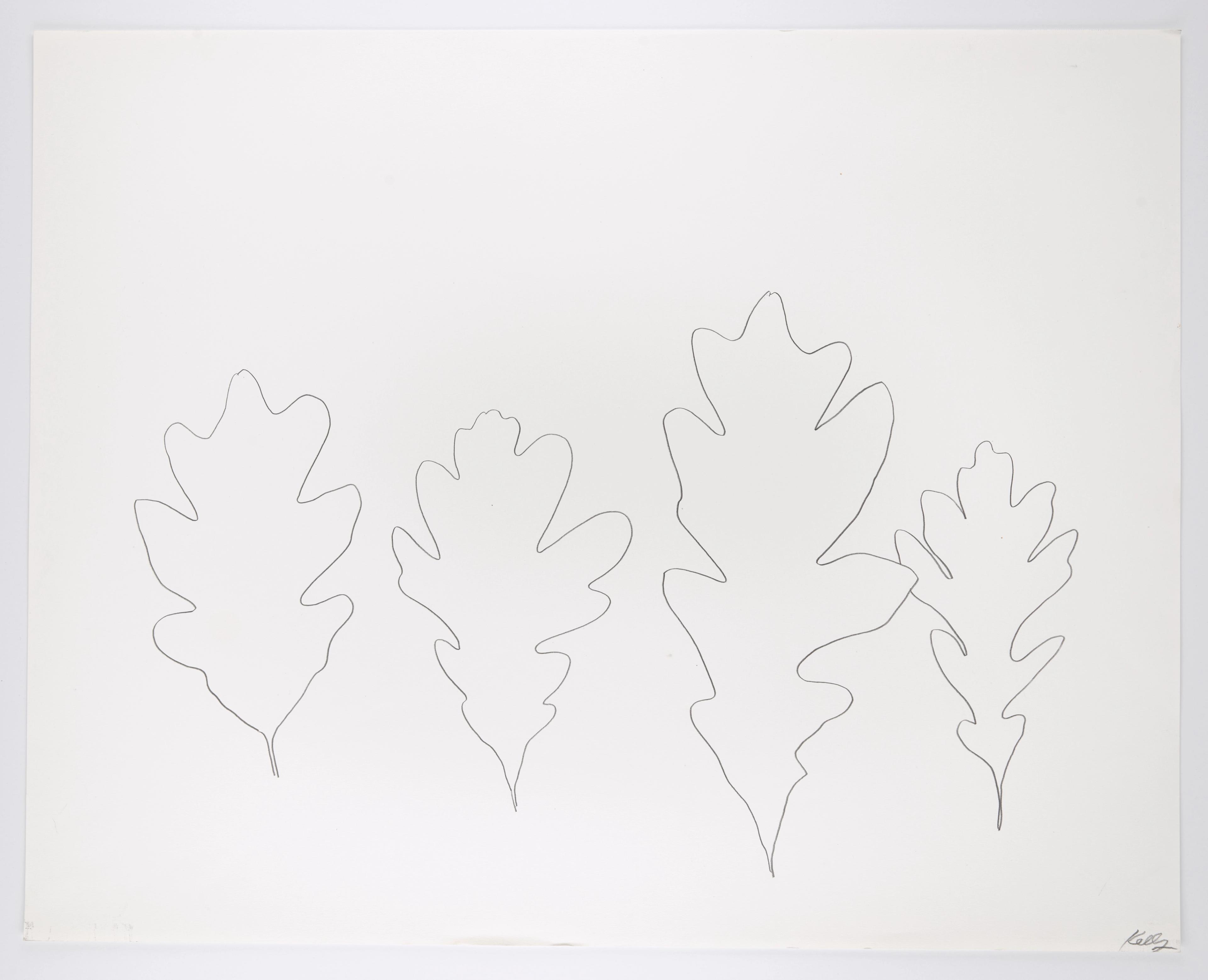 Oak, 1969