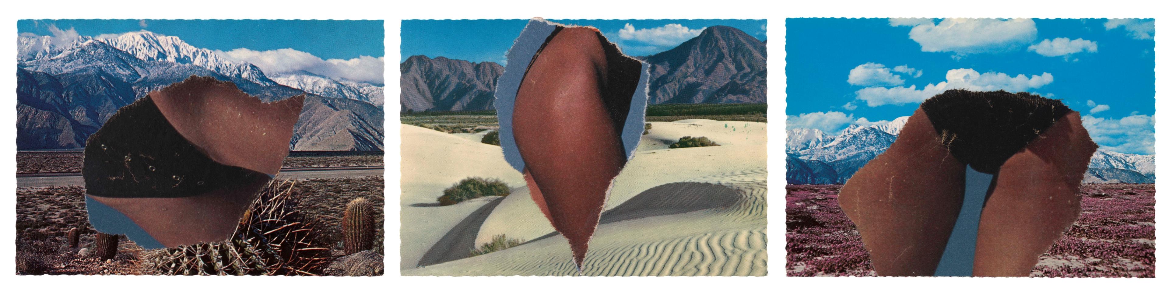 Palm Springs, 1984