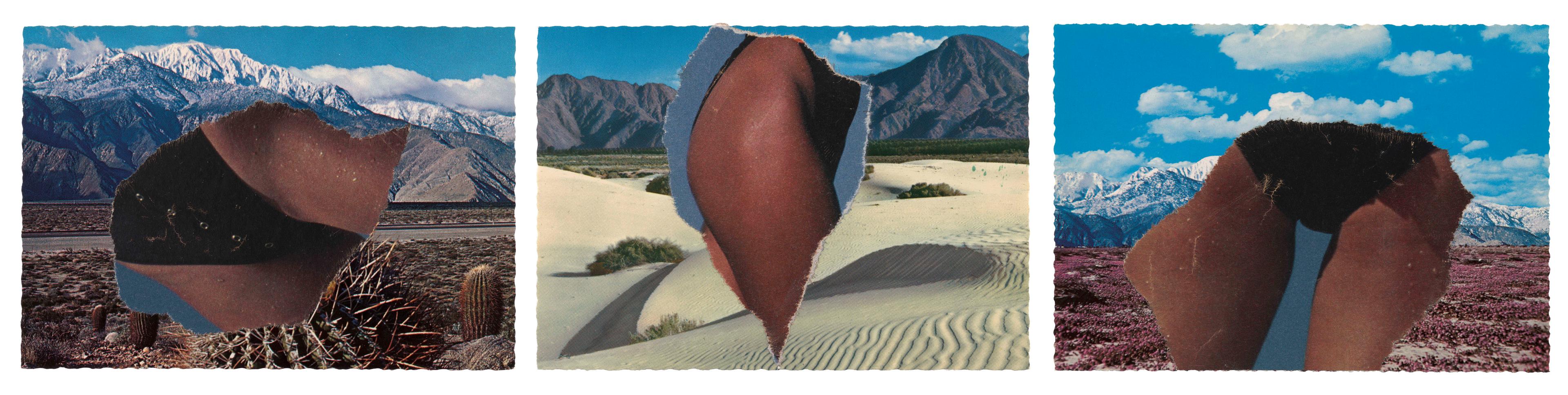 Palm Springs, 1984