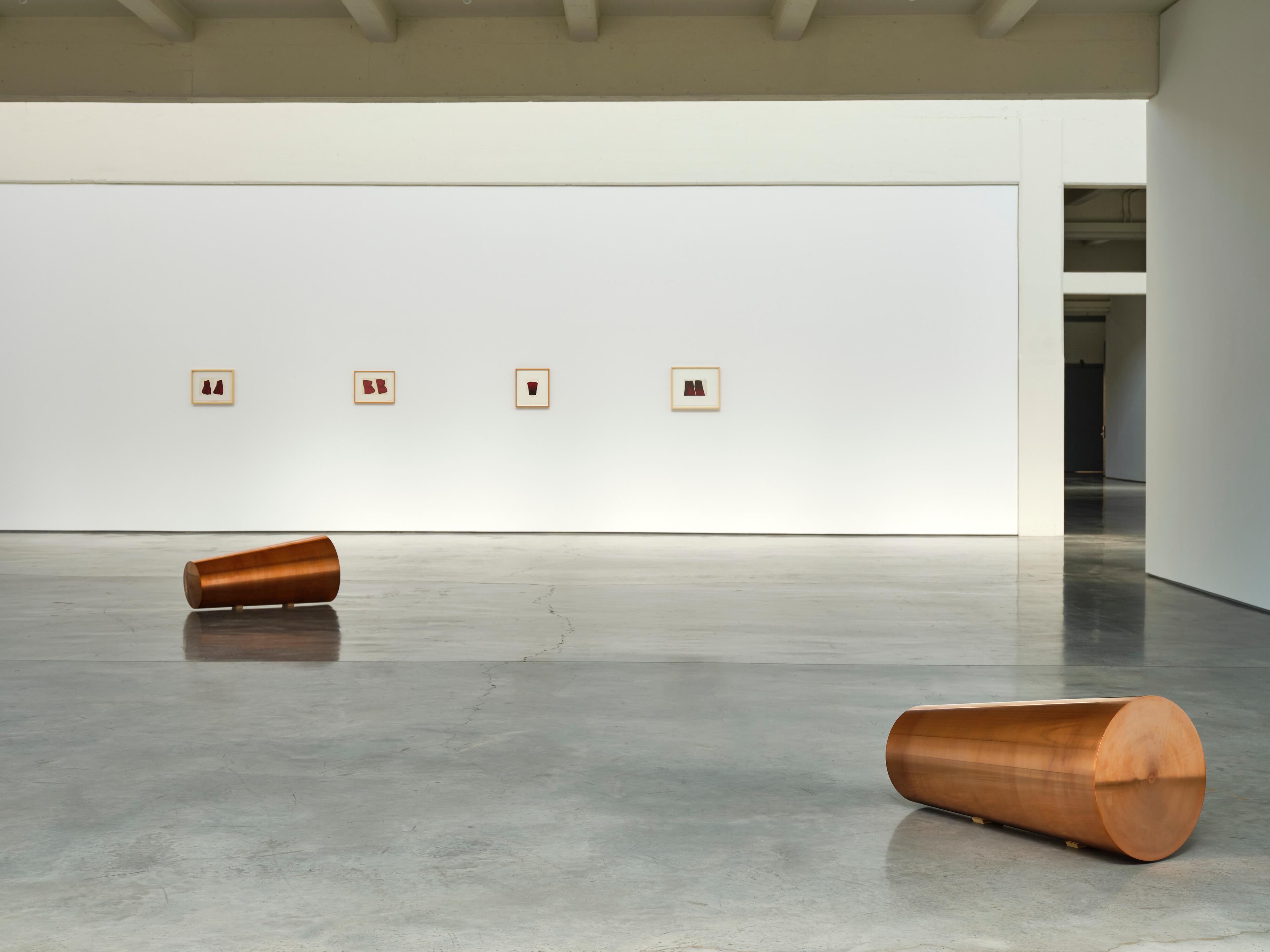 Roni Horn