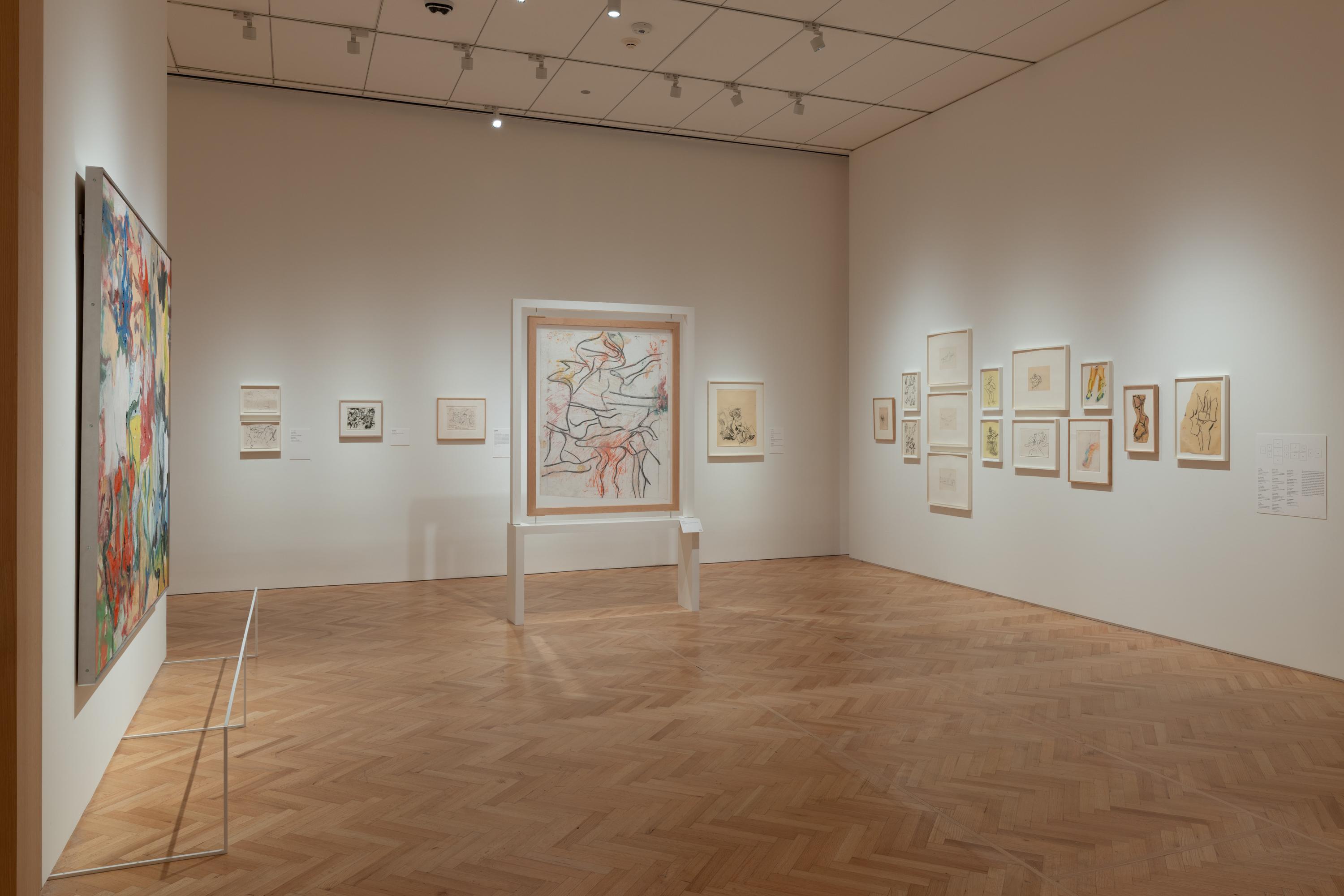 "Willem de Kooning: Drawing" at the Art Institute of Chicago