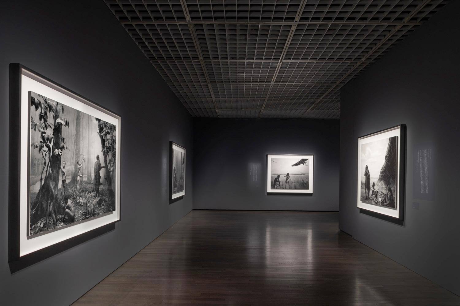 "Hiroshi Sugimoto: Extinction" at The National Museum of Modern Art, Tokyo