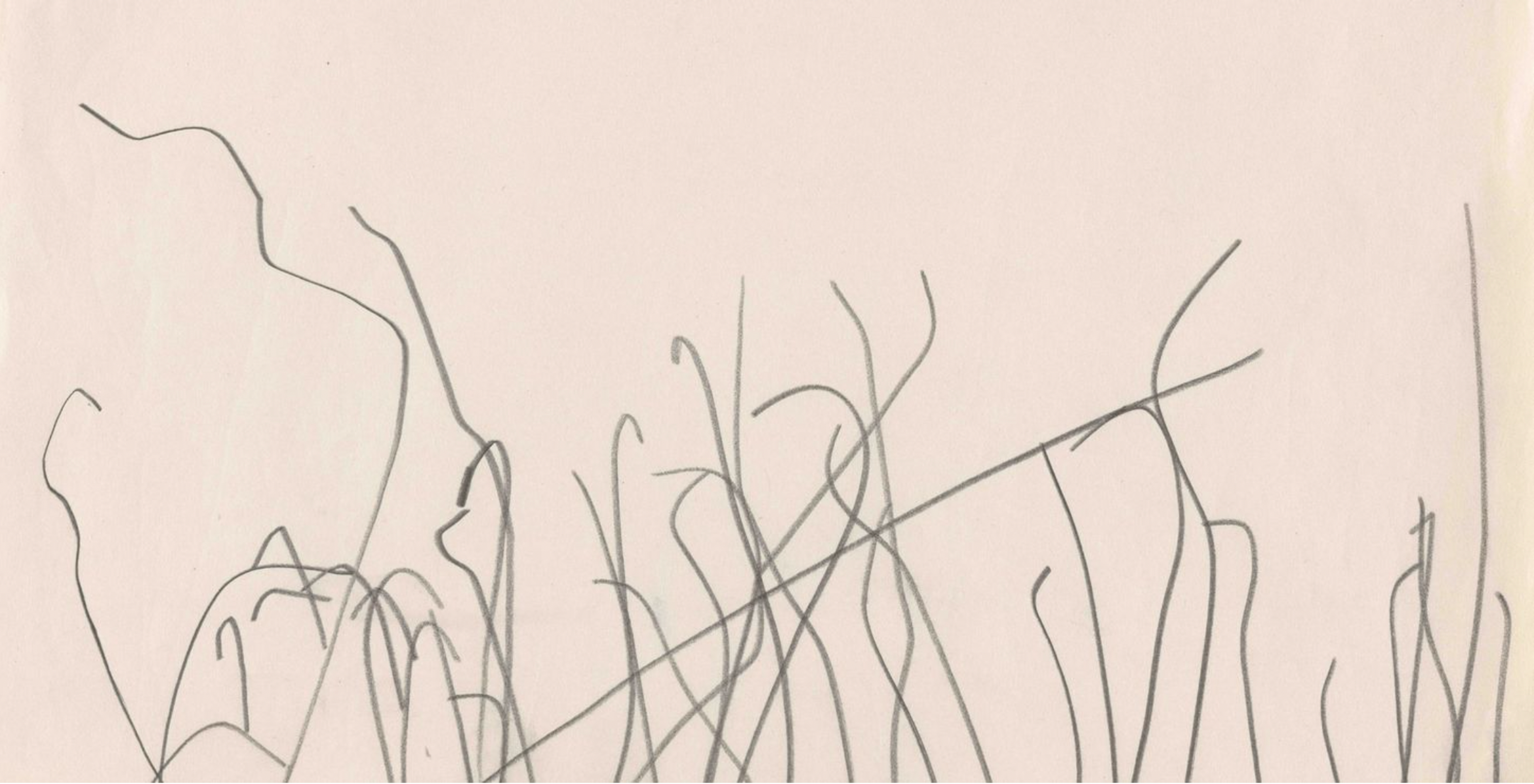 Reflections on Water and Other Early Drawings
