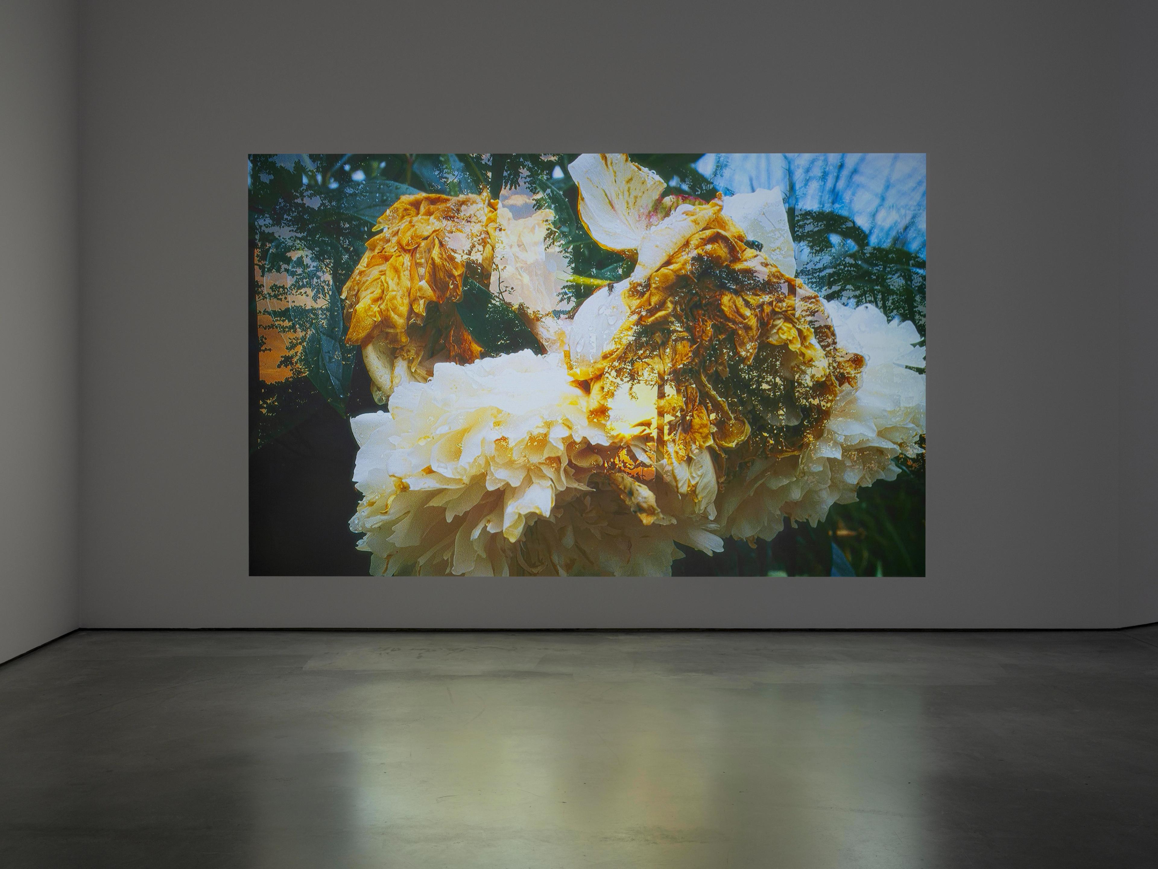 Review: "Real Flowers" 