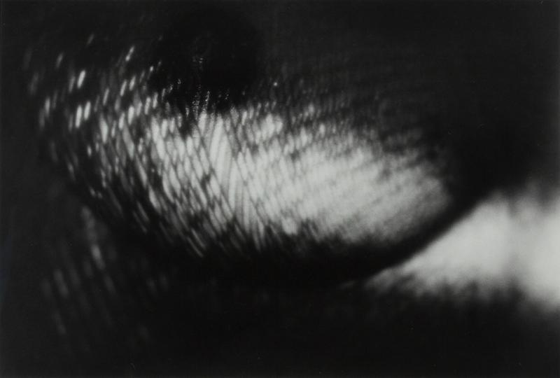 Untitled, from the series Screen, 1969