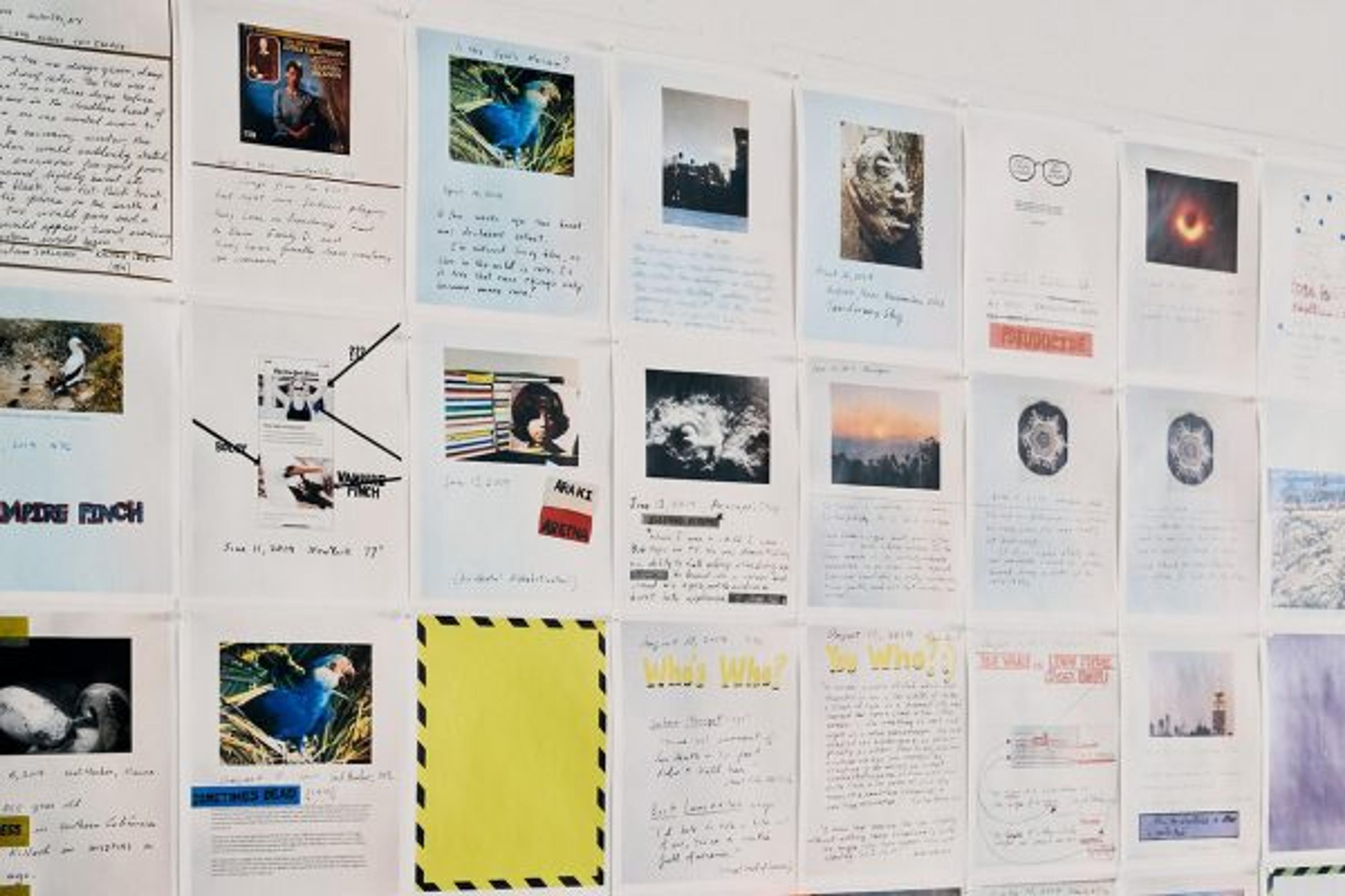 Roni Horn Shares a Timely Record of Solitude