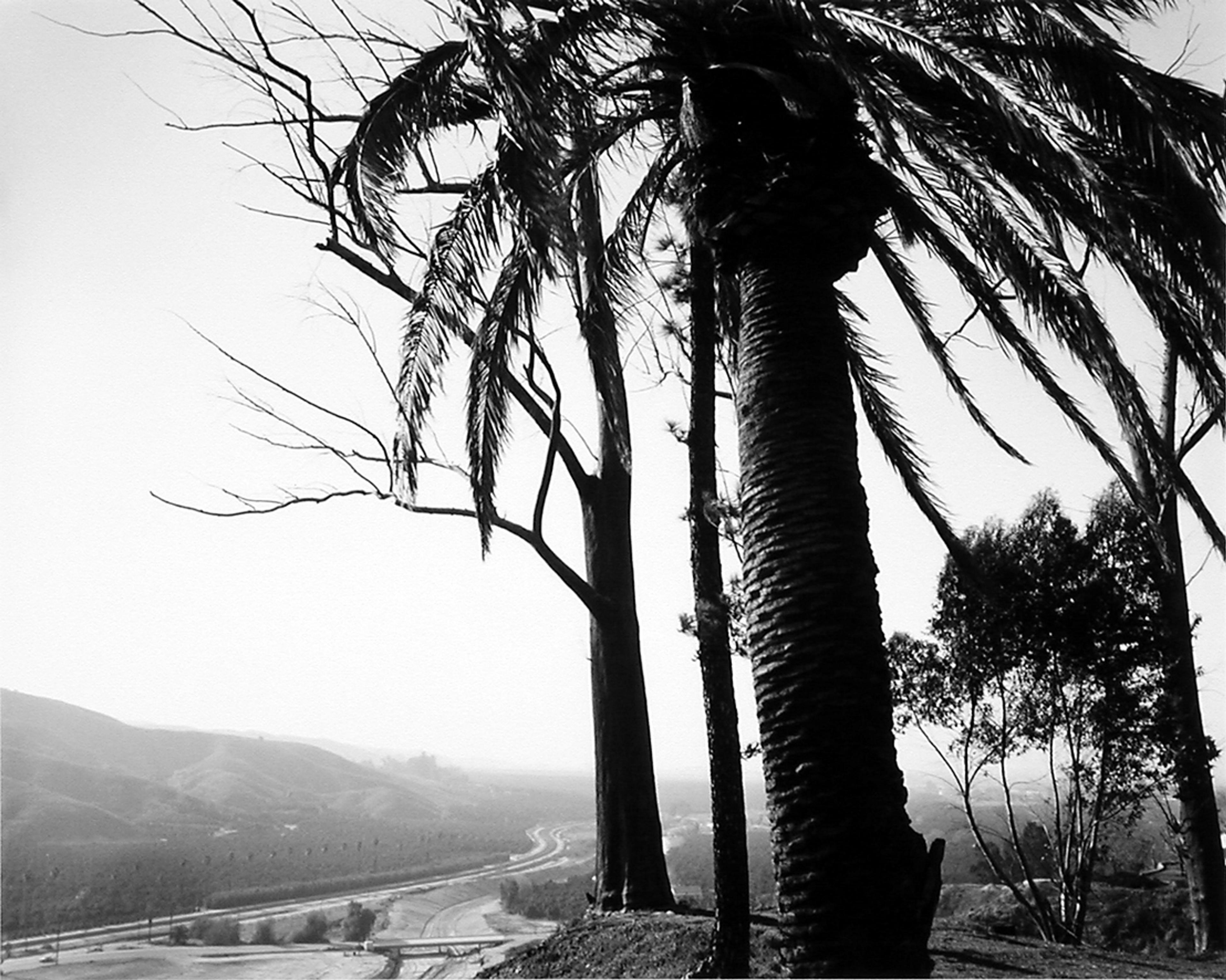 American Silence: The Photographs of Robert Adams